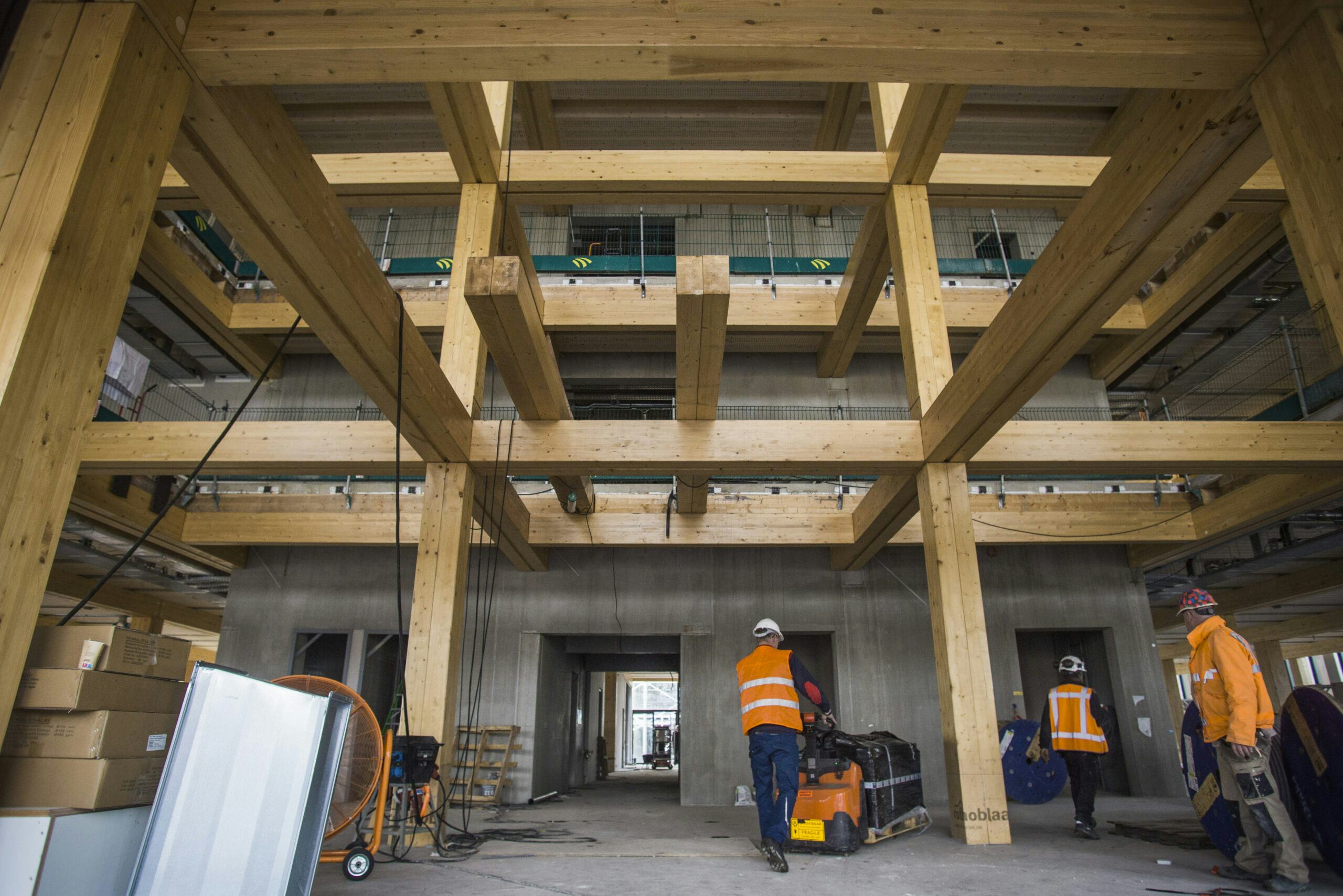 Foto: Eran Oppenheimer.