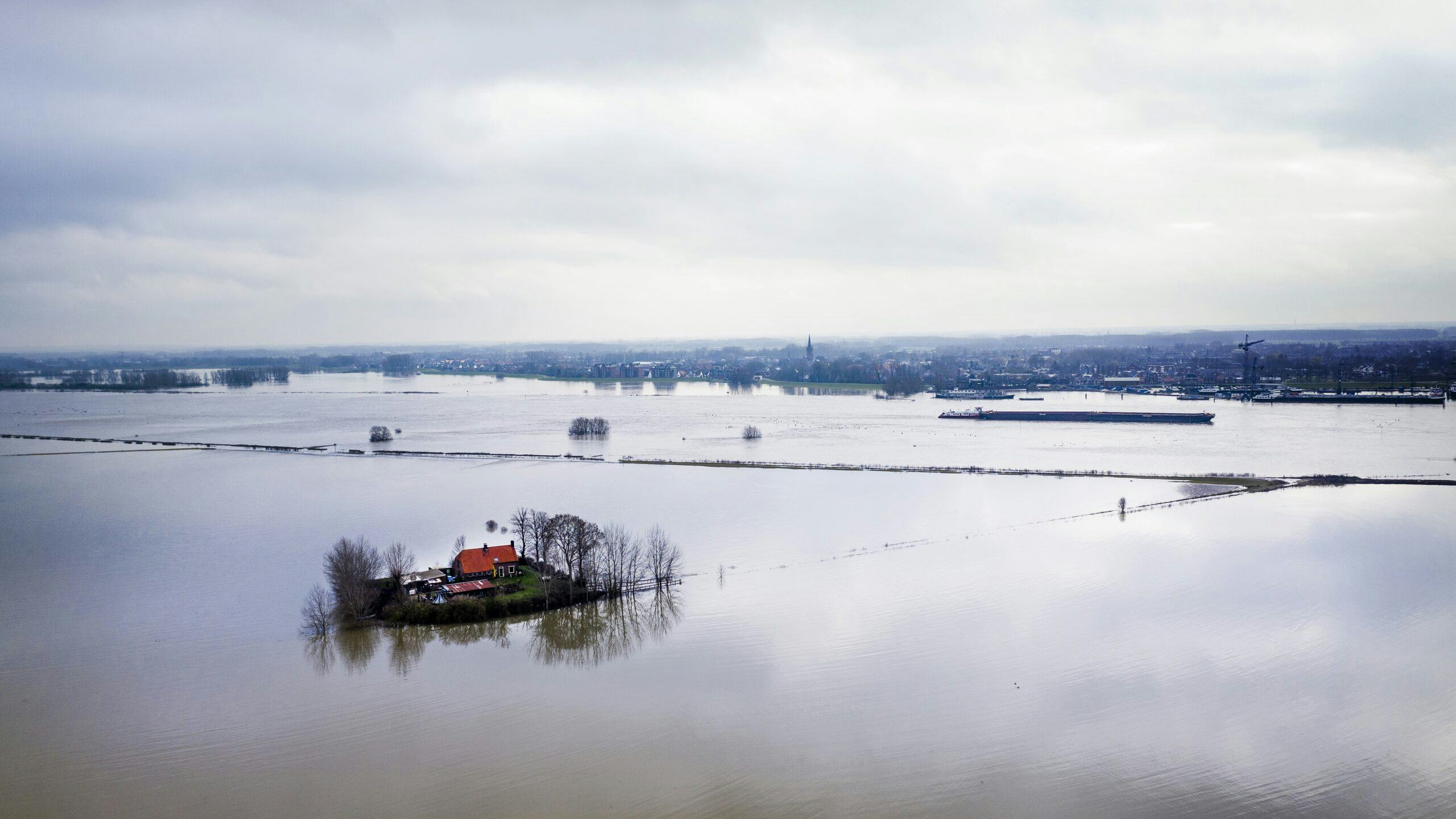 Volgestroomde uiterwaarden bij De Waal. Foto: Michiel Wijnbergh