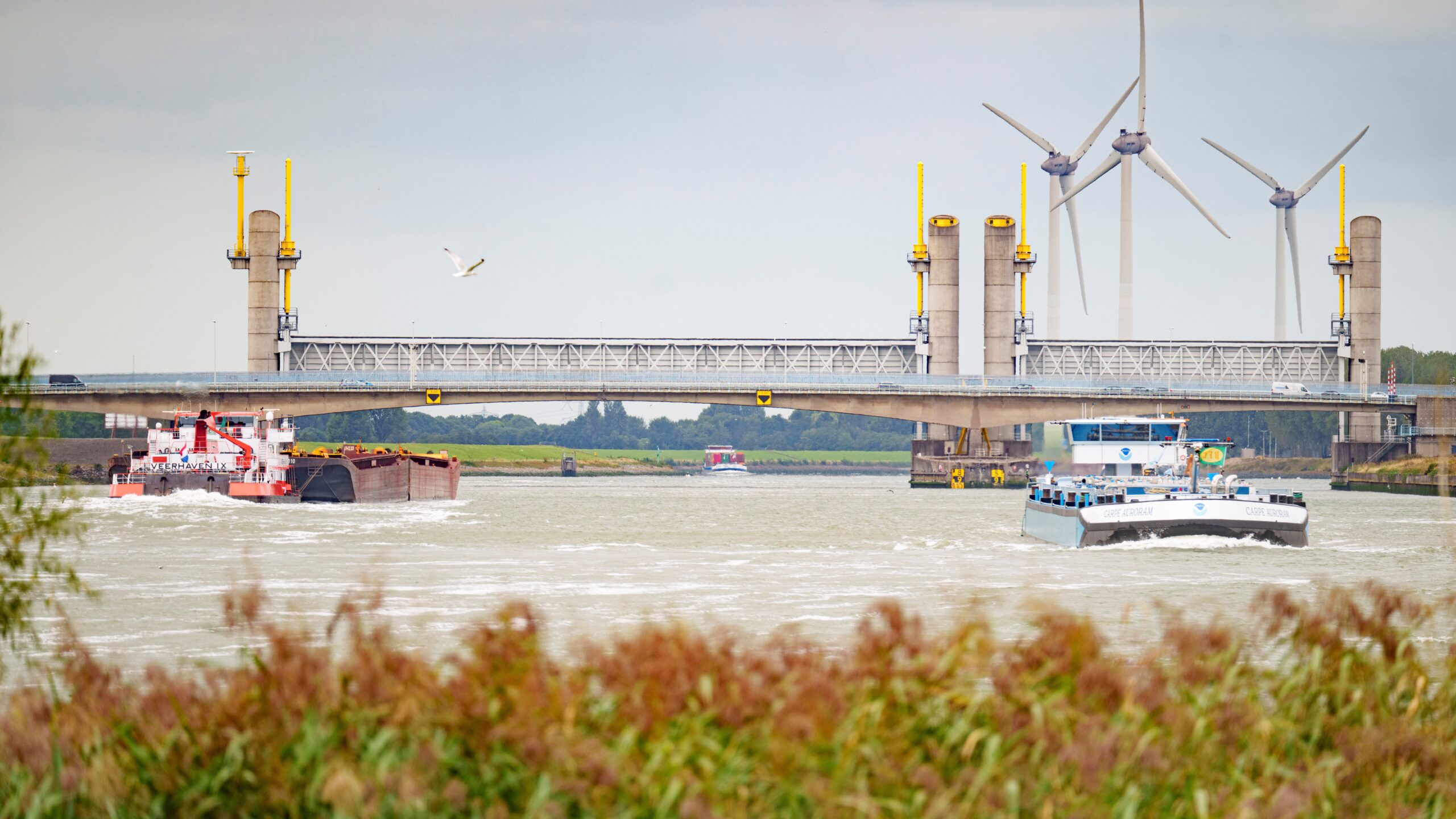 Hartelbrug. Foto: Martijn Beekman/PZH
