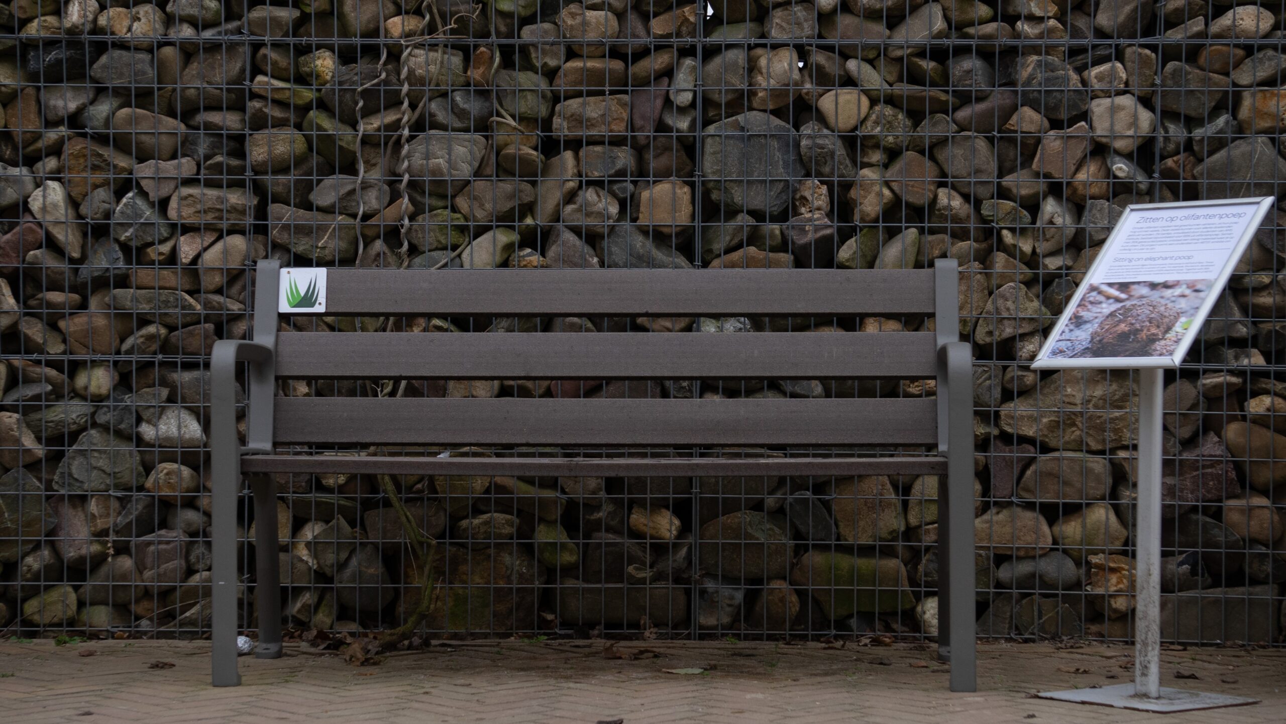 Foto: Artis/Marie van Elderen