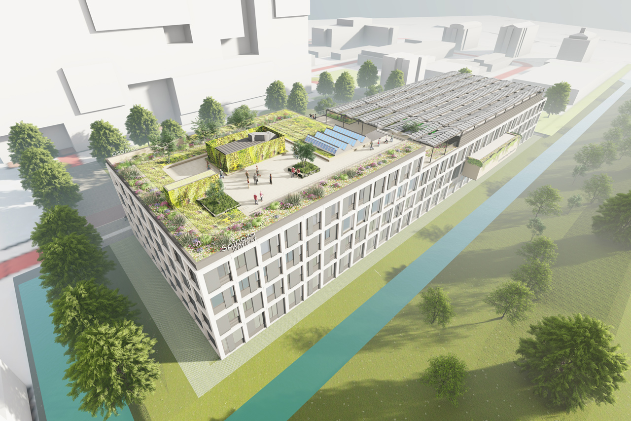 Beeld: Spinoza20First