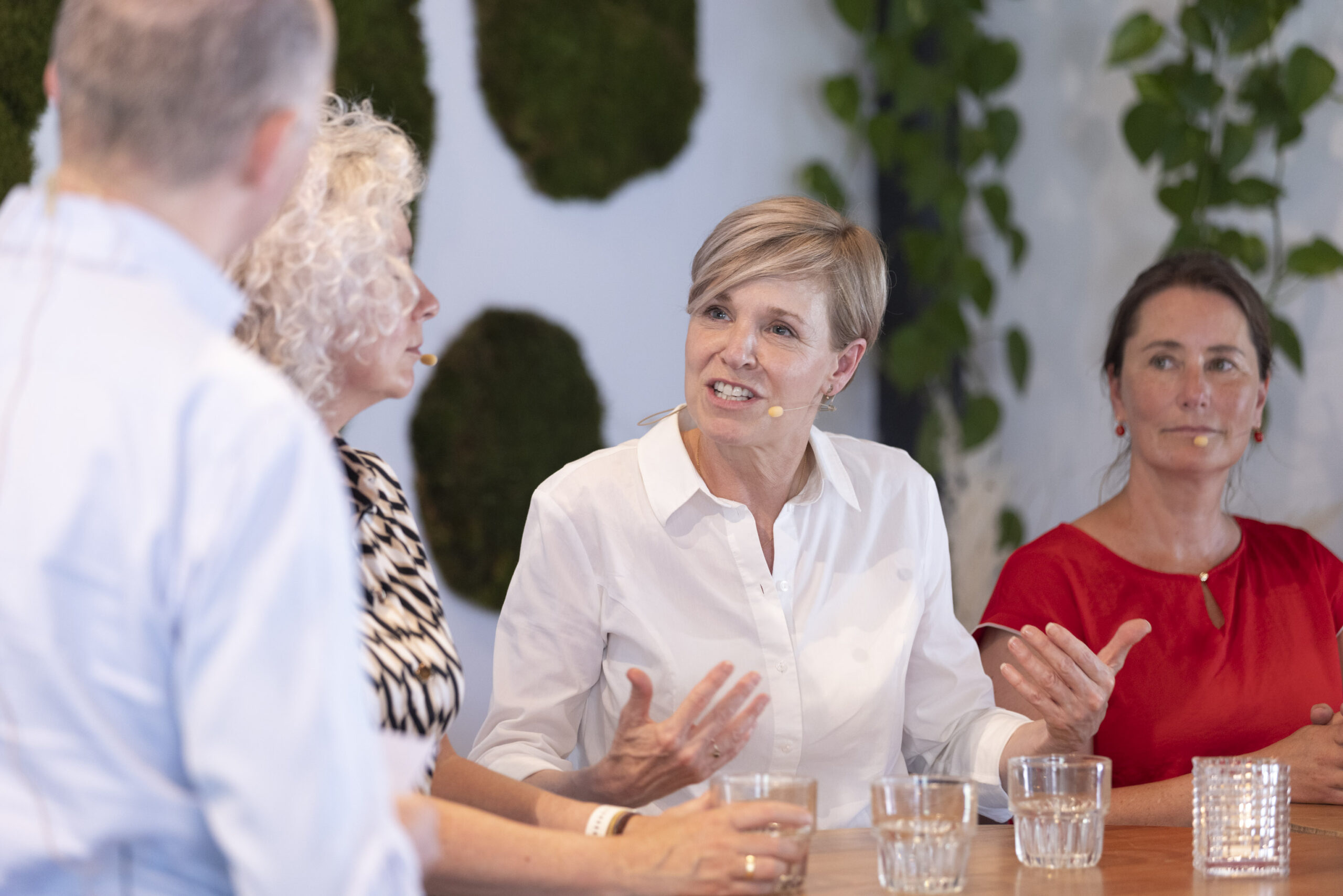 Foto: Sjef Prins - APA Foto