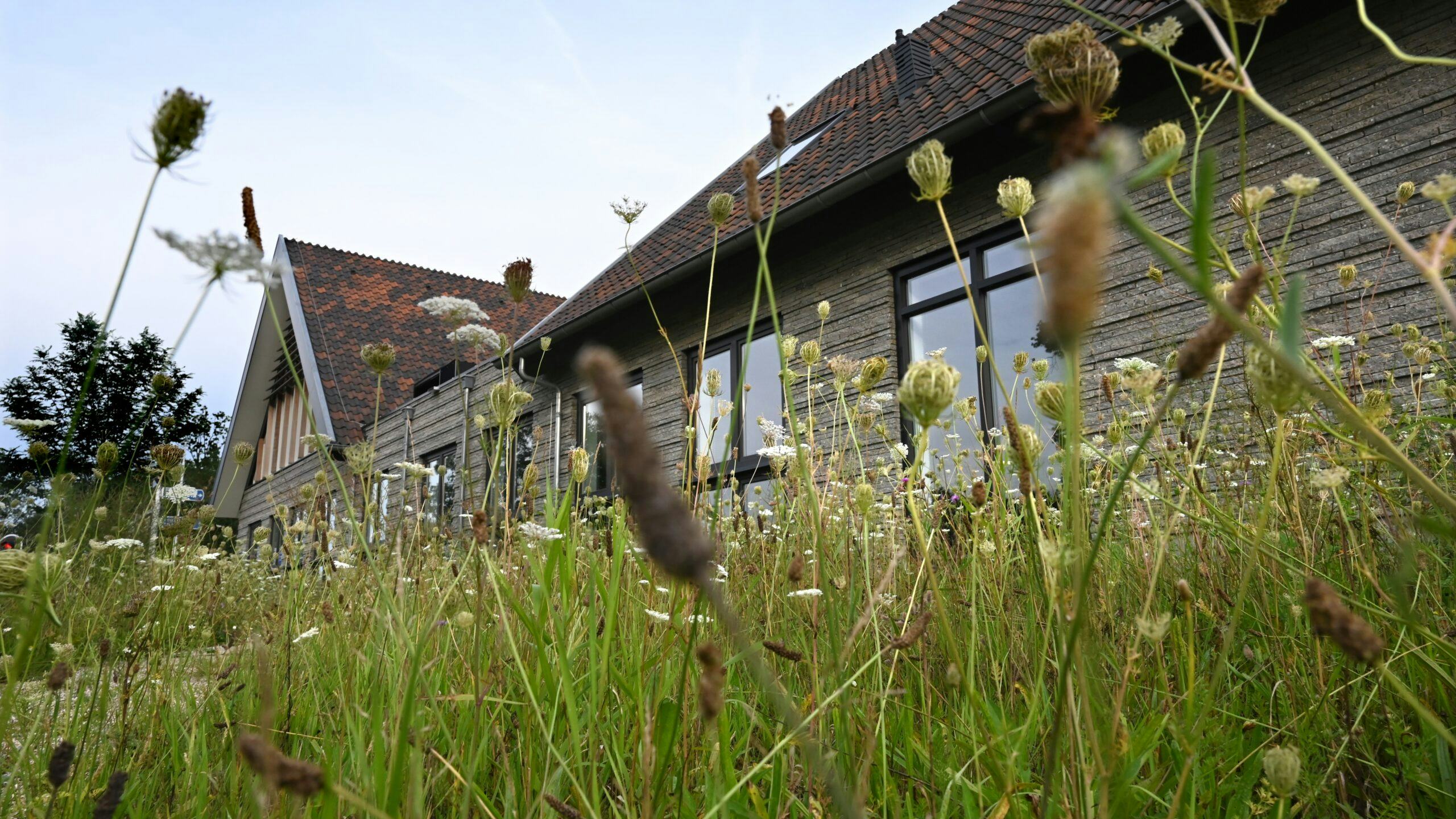 Foto Ries van Wendel de Joode