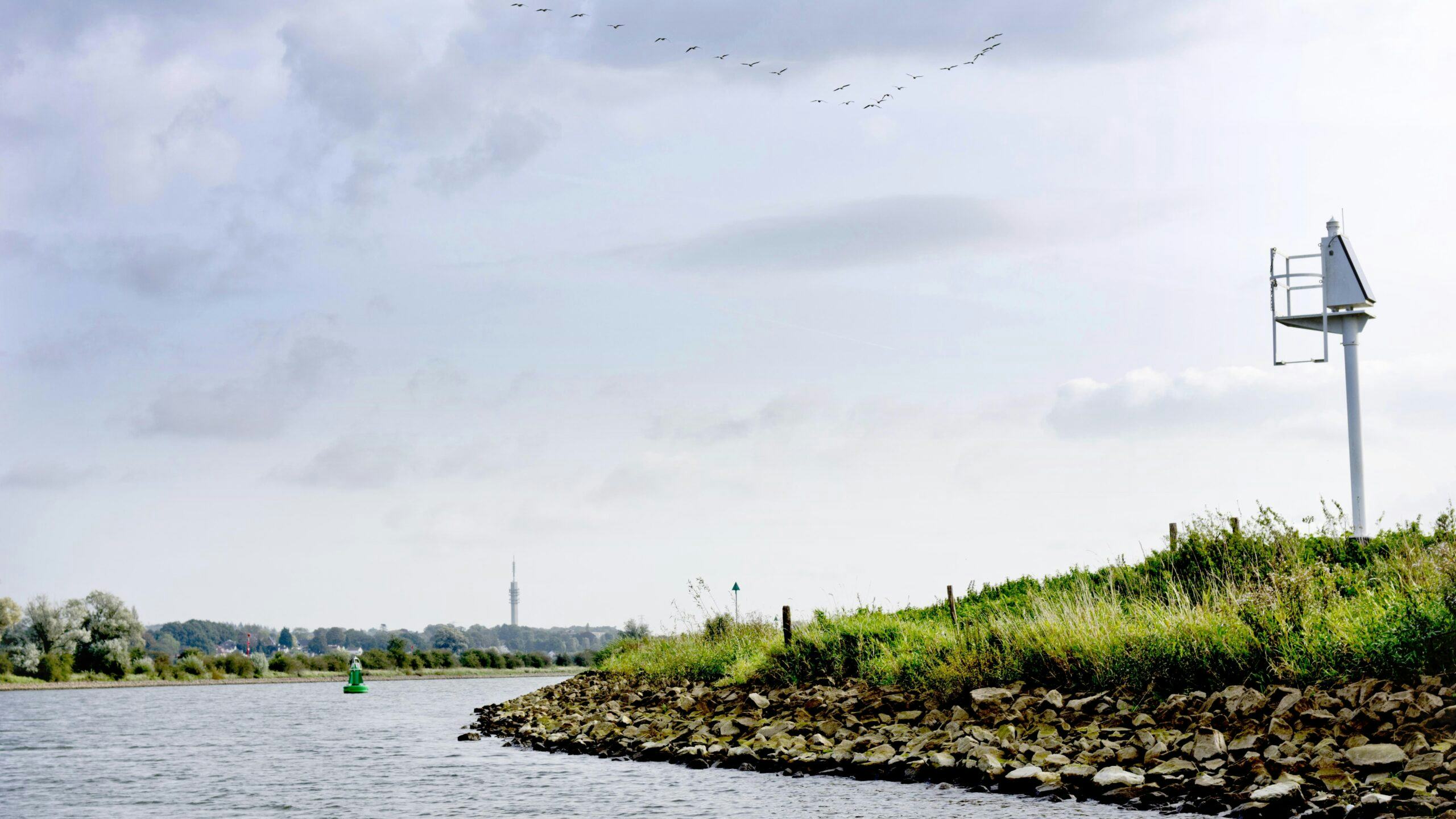 Deze stenige oevers van de Nederrijn bij Arnhem doen afbreuk aan de ecologie en worden, waar mogelijk, vervangen door glooiende, groene oevers. Foto: Johan Nebbeling