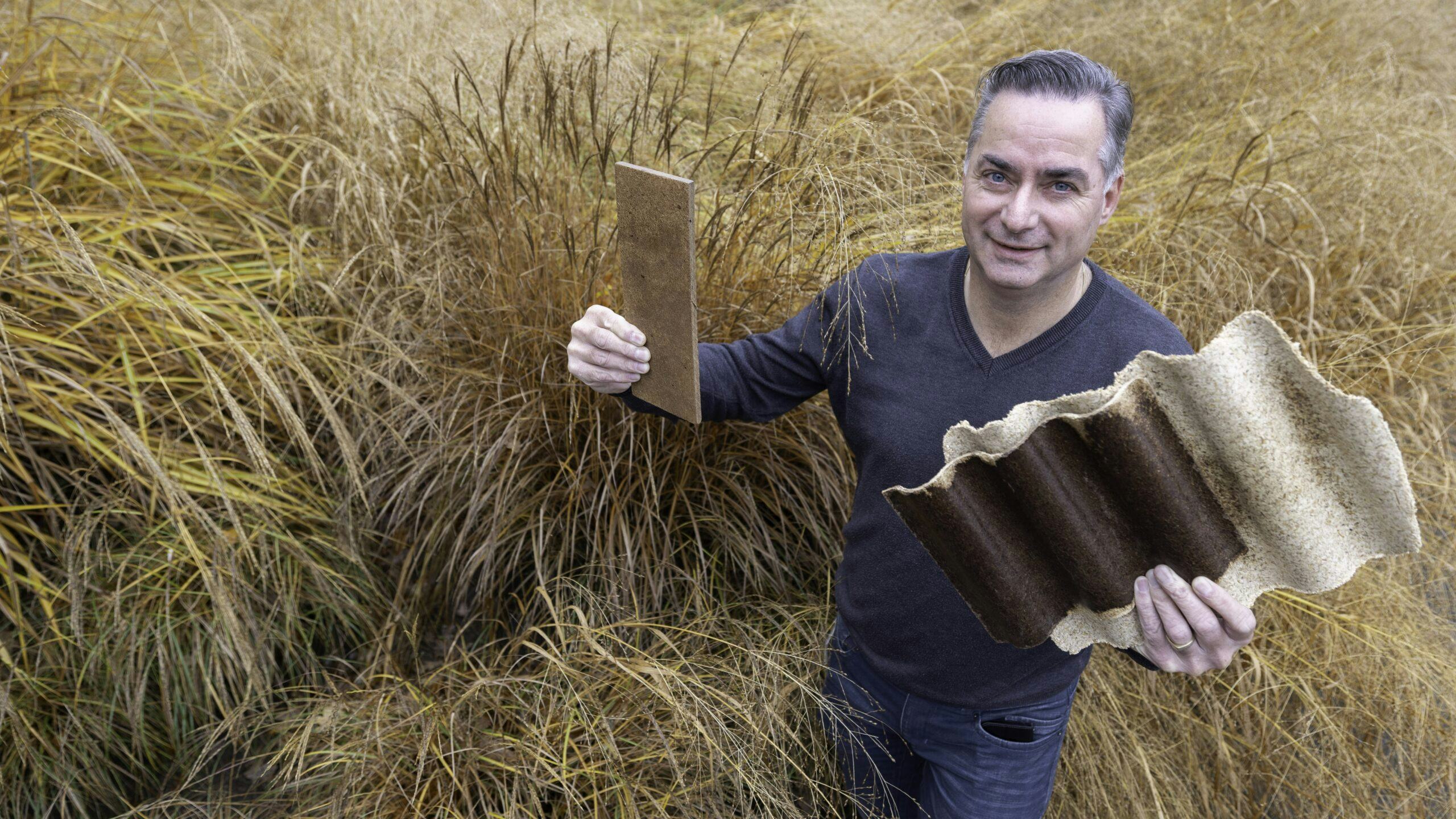 Richard Gosselink tussen Miscanthus wat (o.a.) wordt gebruikt voor bouwmateriaal.
Foto: Sjef Prins/APA Foto