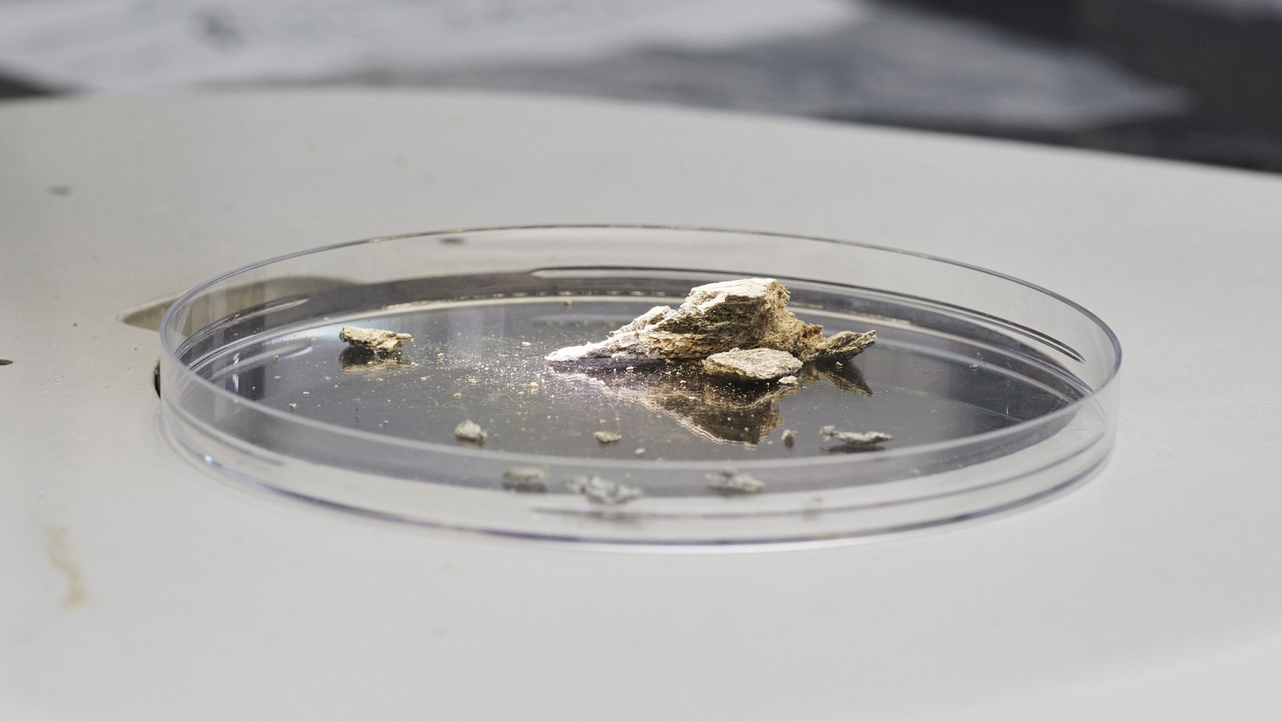 Monster van asbestvezels. Foto: Christiaan Krouwels 