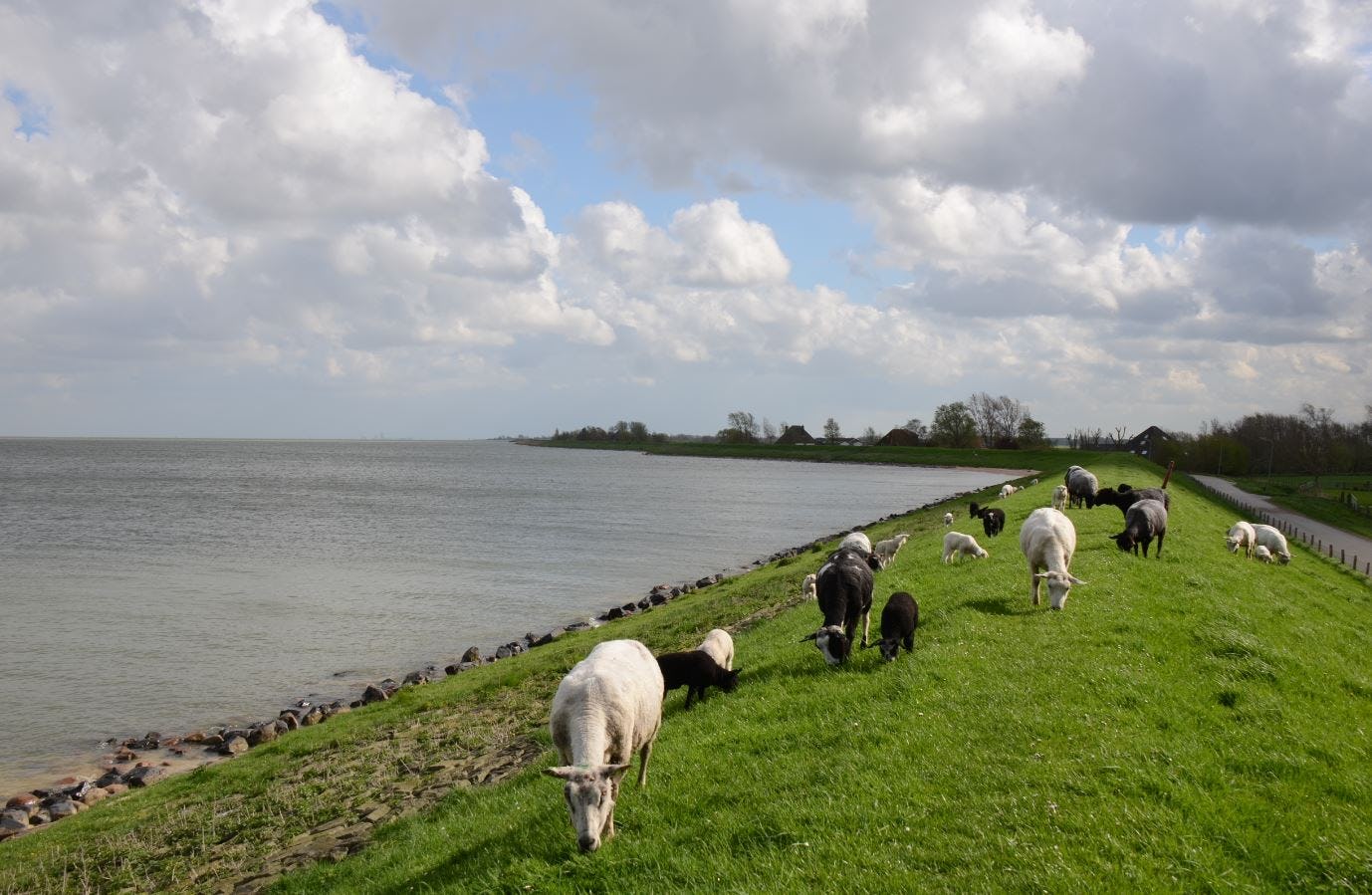 Waterschap werkt niet mee aan vernieuwing kustlijn Lelystad