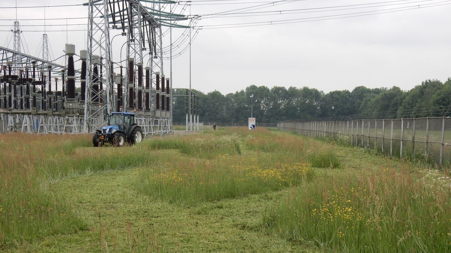 Slingerende maaipaden bij Dodewaard. Foto: TenneT / Albert Vliegenthart