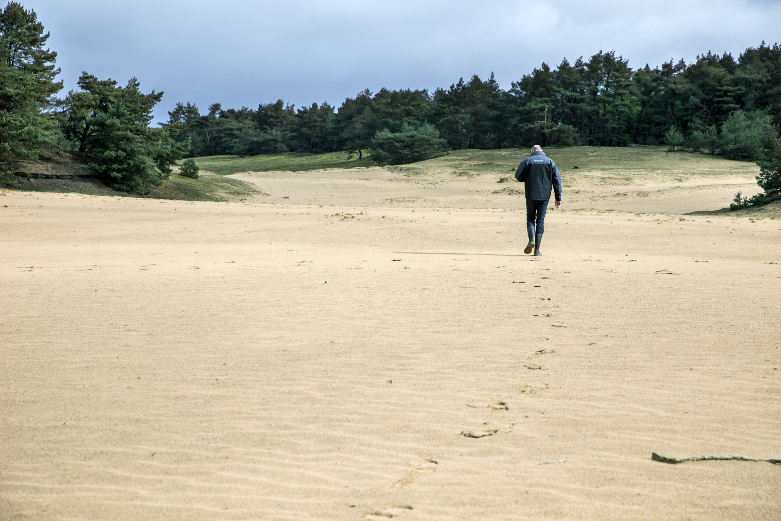 Stikstofexpert Niels Bronsgeest (Tauw) op de zandduinen in het Wekeromse Zand. Stikstof dwarrelt hier makkelijker neer en komt in de bodem terecht. Foto: Suzanne van de Kerk