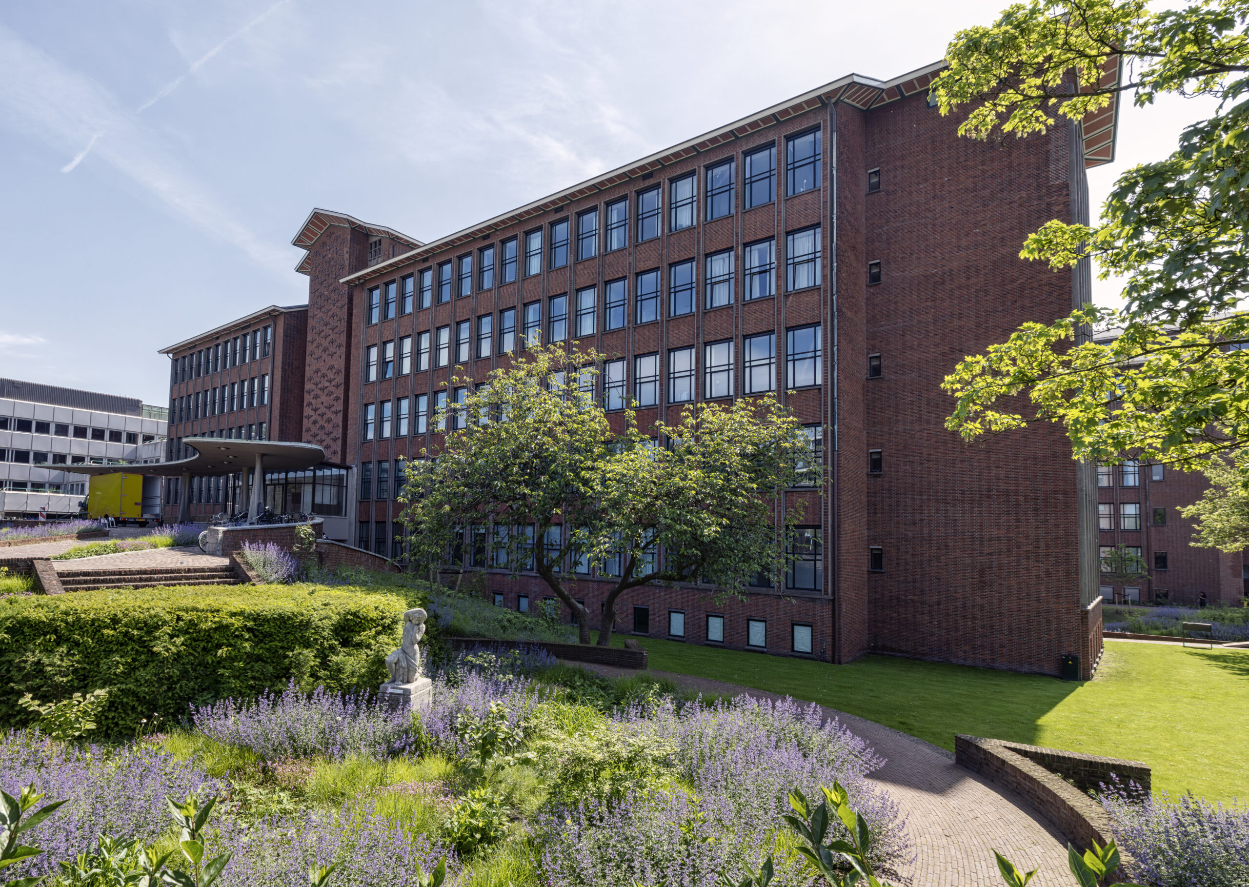 Plesmanduin. 
Foto: Guido Benschop