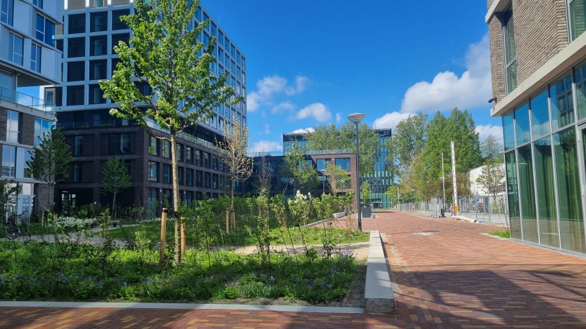 More Leiden. Foto: Cobouw