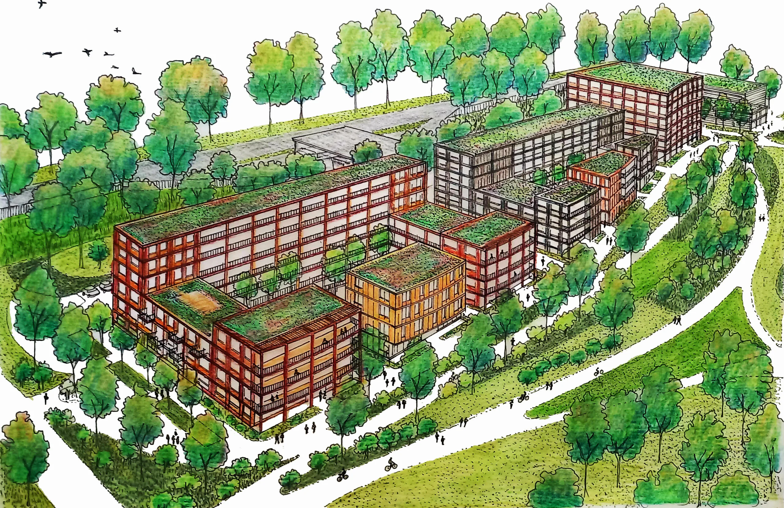 Artist's impressions Norton Flores Troche