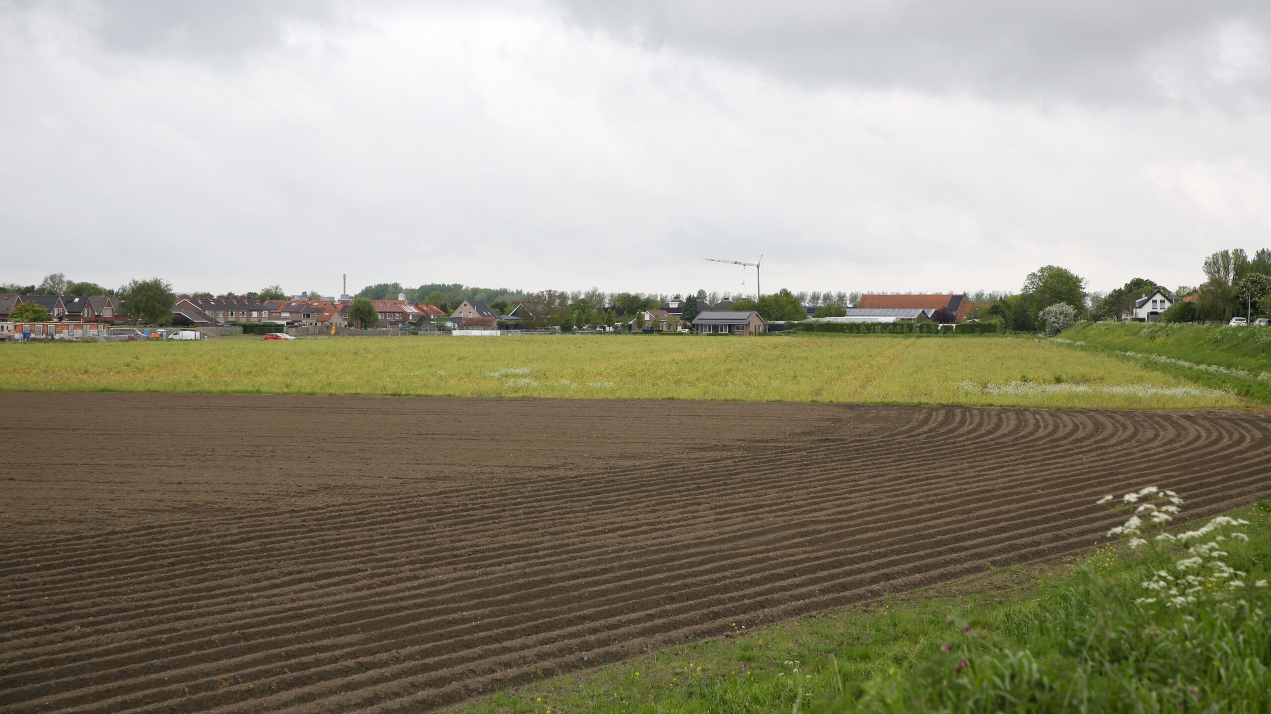 Foto: Cobouw/Alexander Leeuw