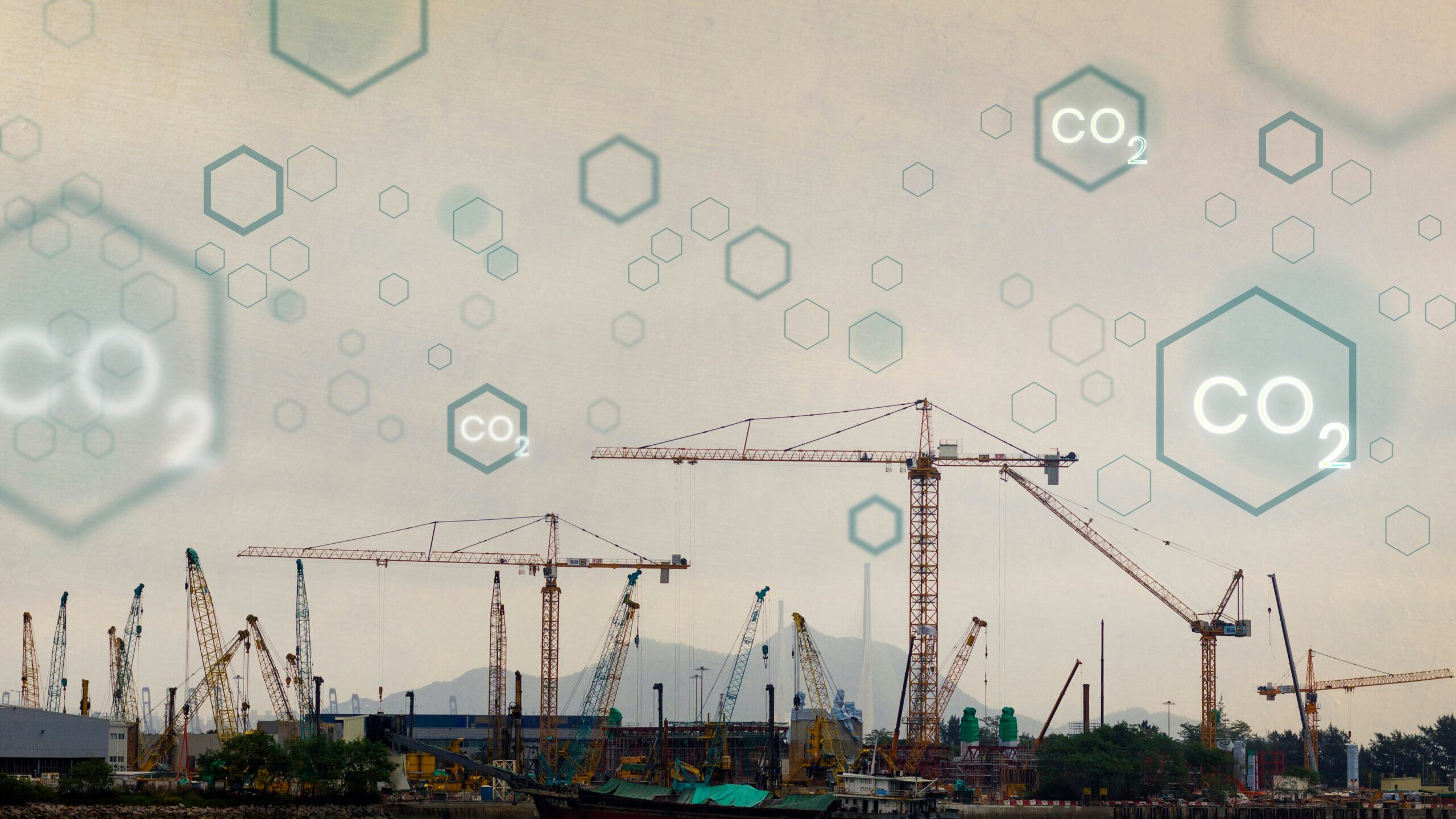 Afbeelding: Shutterstock.