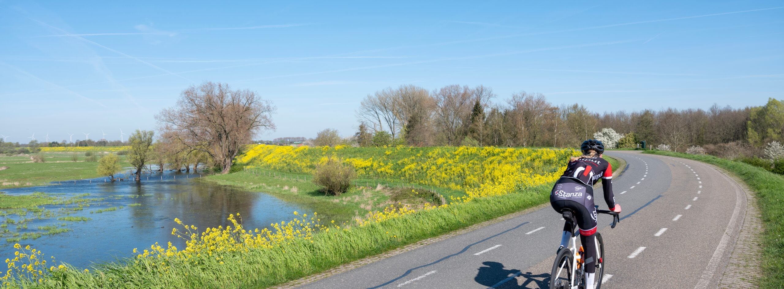 Uiterwaarden bij Heesselt, een dorp aan de Waal ten oosten van Zaltbommel. Foto: Shutterstock