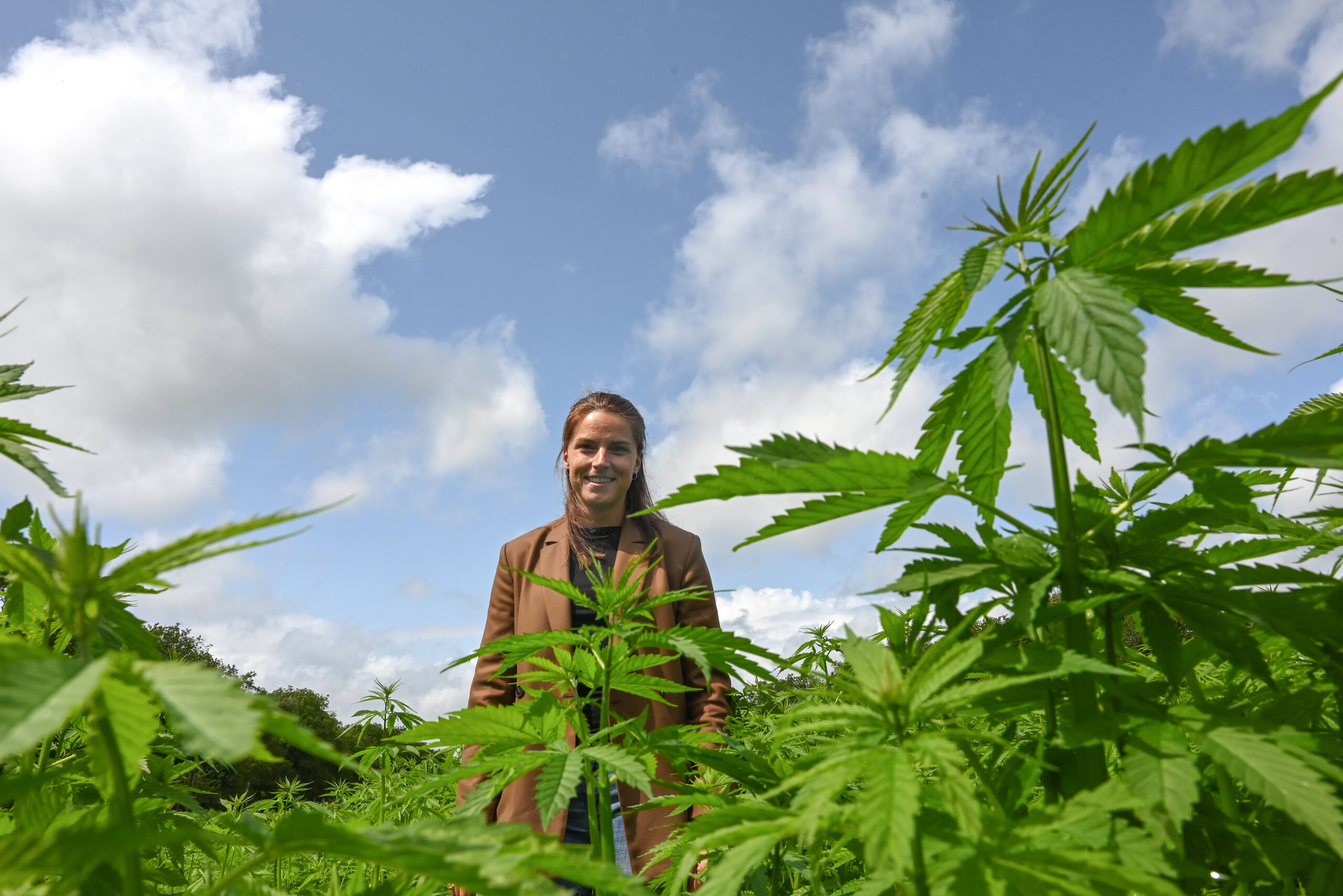 Lorraine Westereng in een akker vol vezelhennep. Foto: Ries van Wendel de Joode