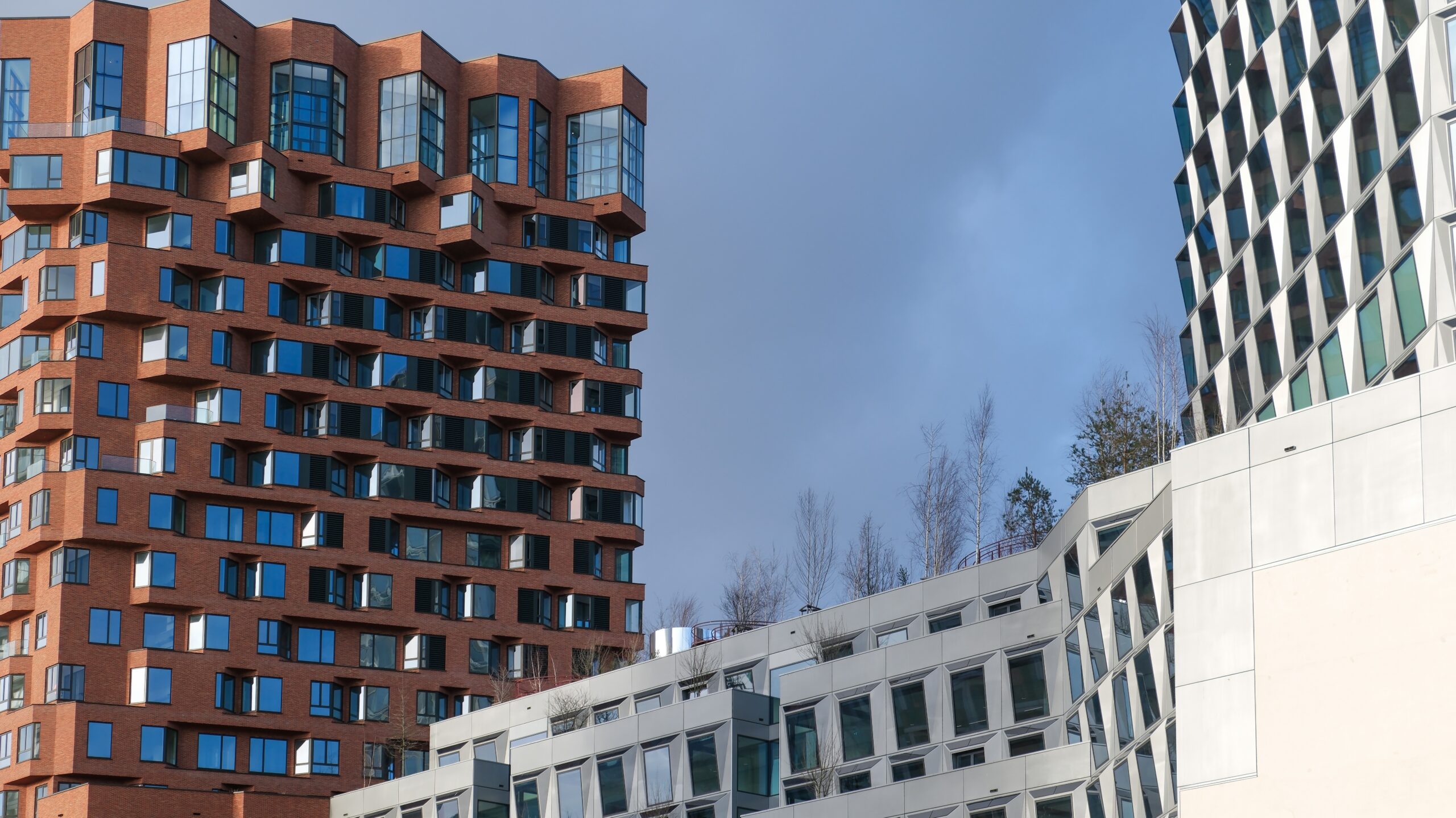 Foto: ANP / Hollandse Hoogte / Kim van Dam