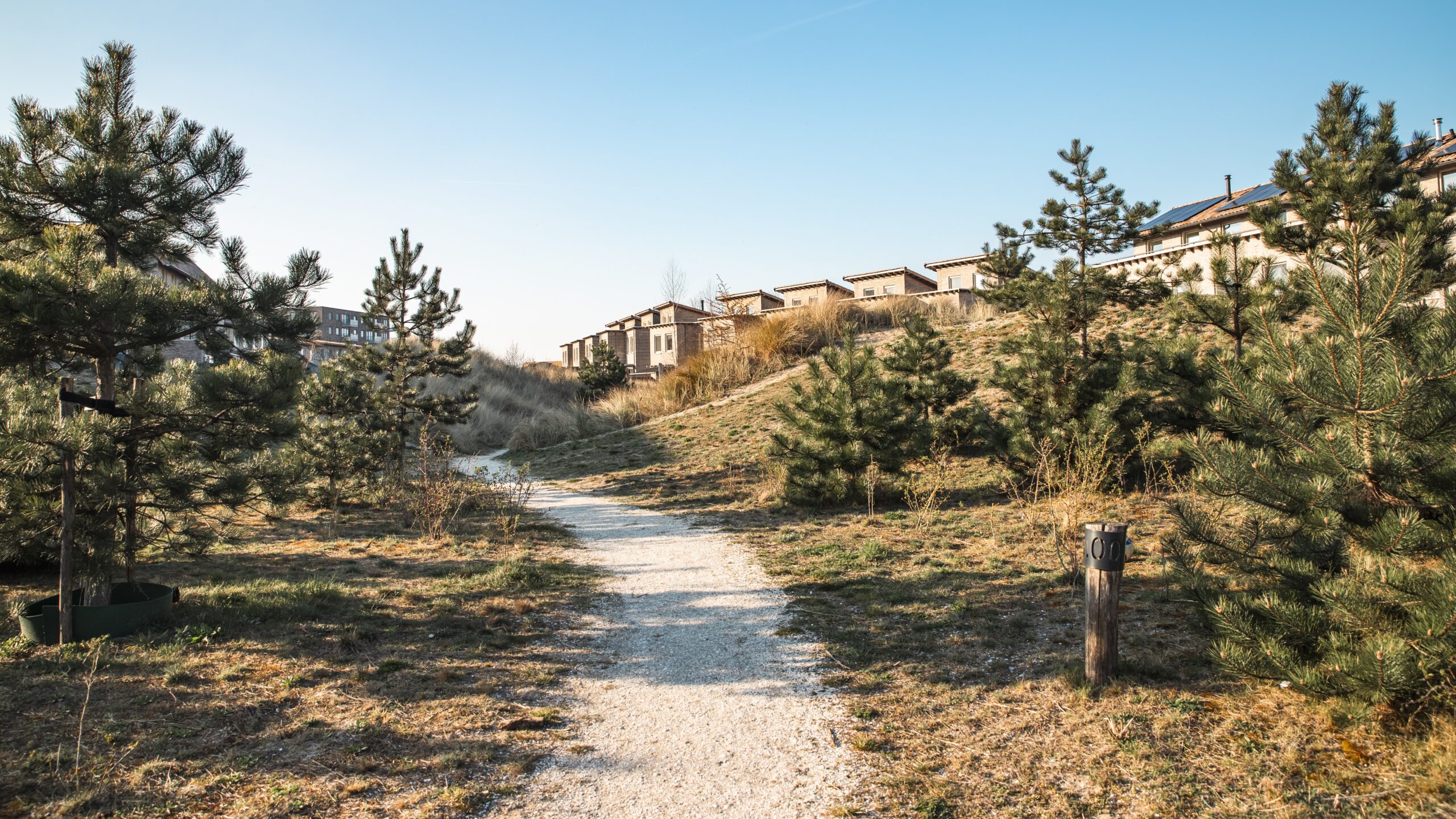 Duinpad bij Almere DUIN. Foto: Antea Group