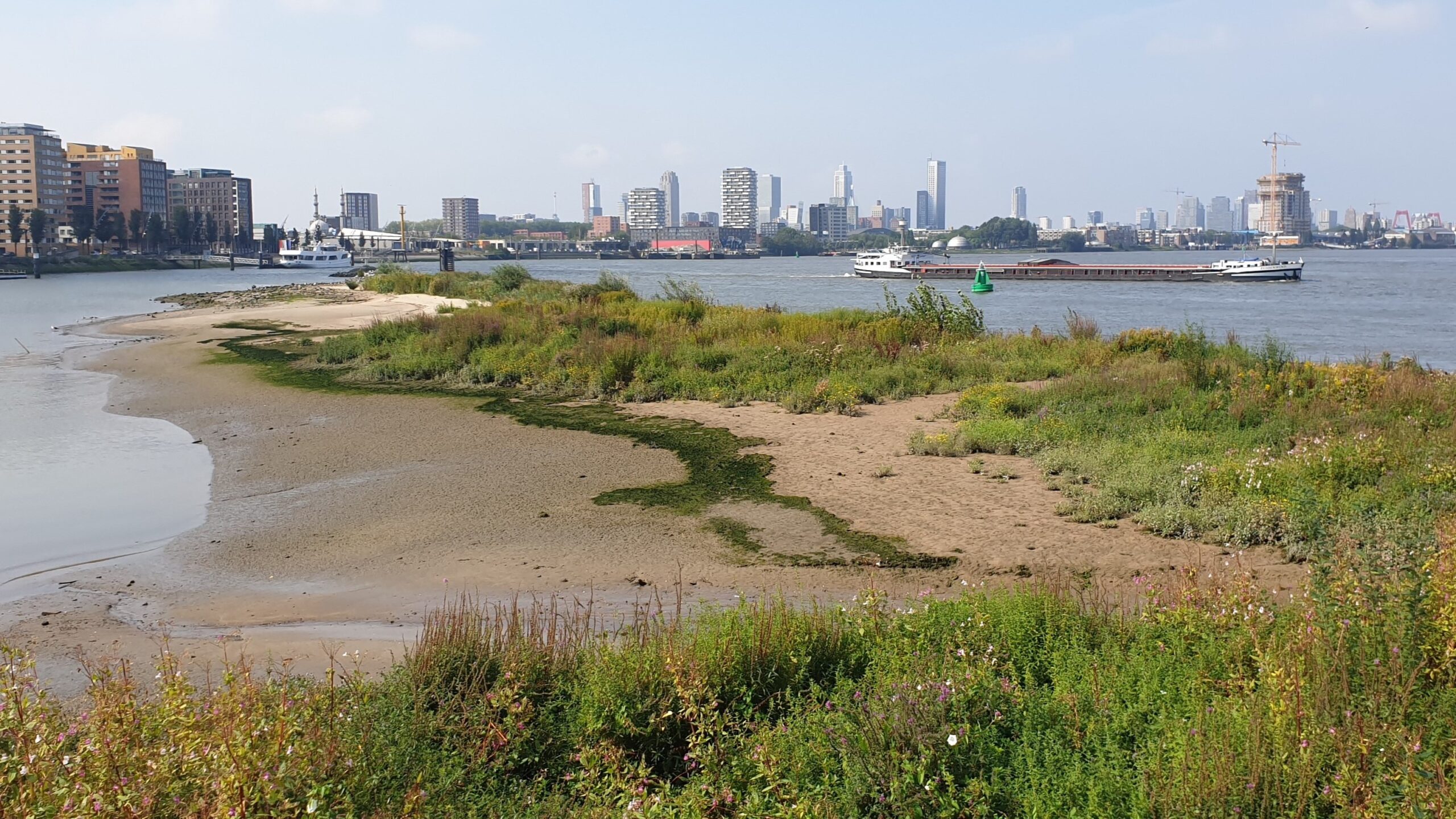 Het Van Brienenoordeiland werd als pilotproject voor het programma Rivier als Getijdenpark heringericht. Foto: Han Meijer