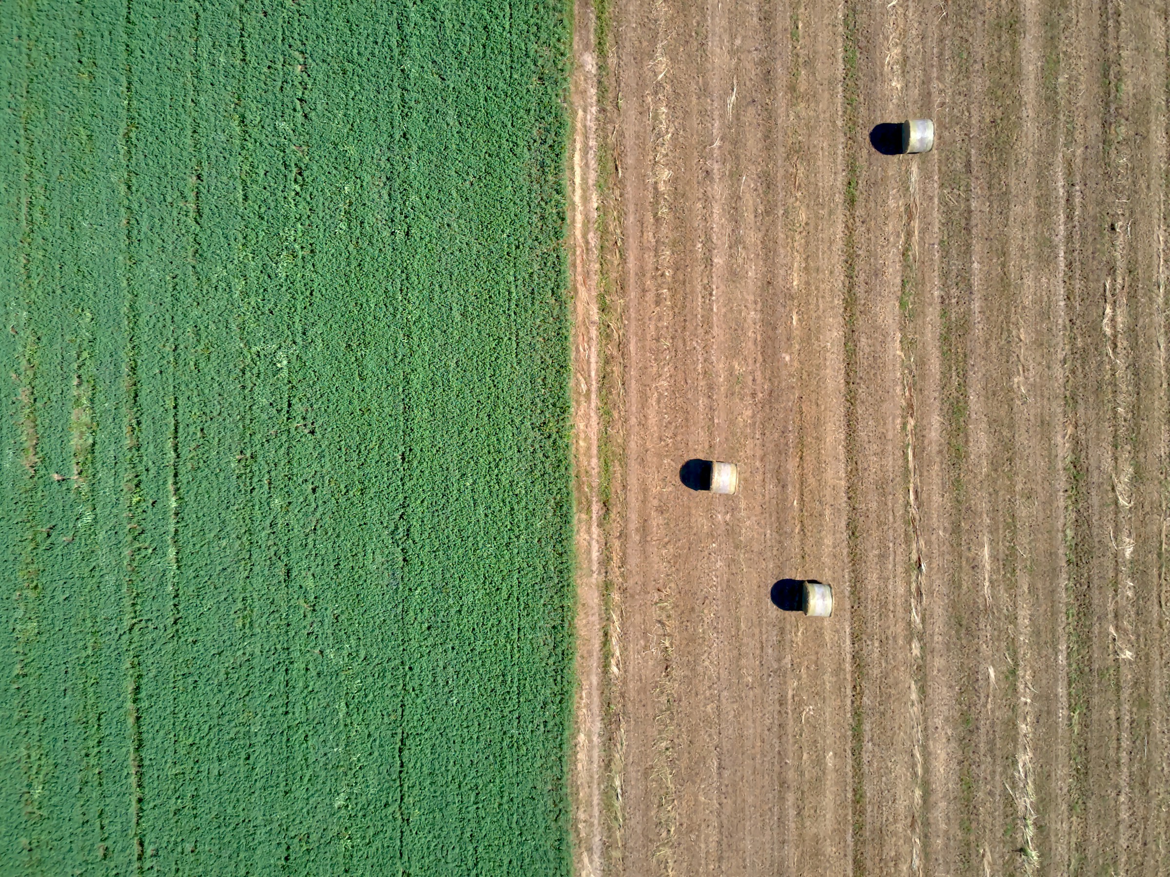 De verwachting wordt geschept dat stukjes grond bestemd zijn voor woningbouw, waardoor de waarde hard zou stijgen. Foto: Unsplash