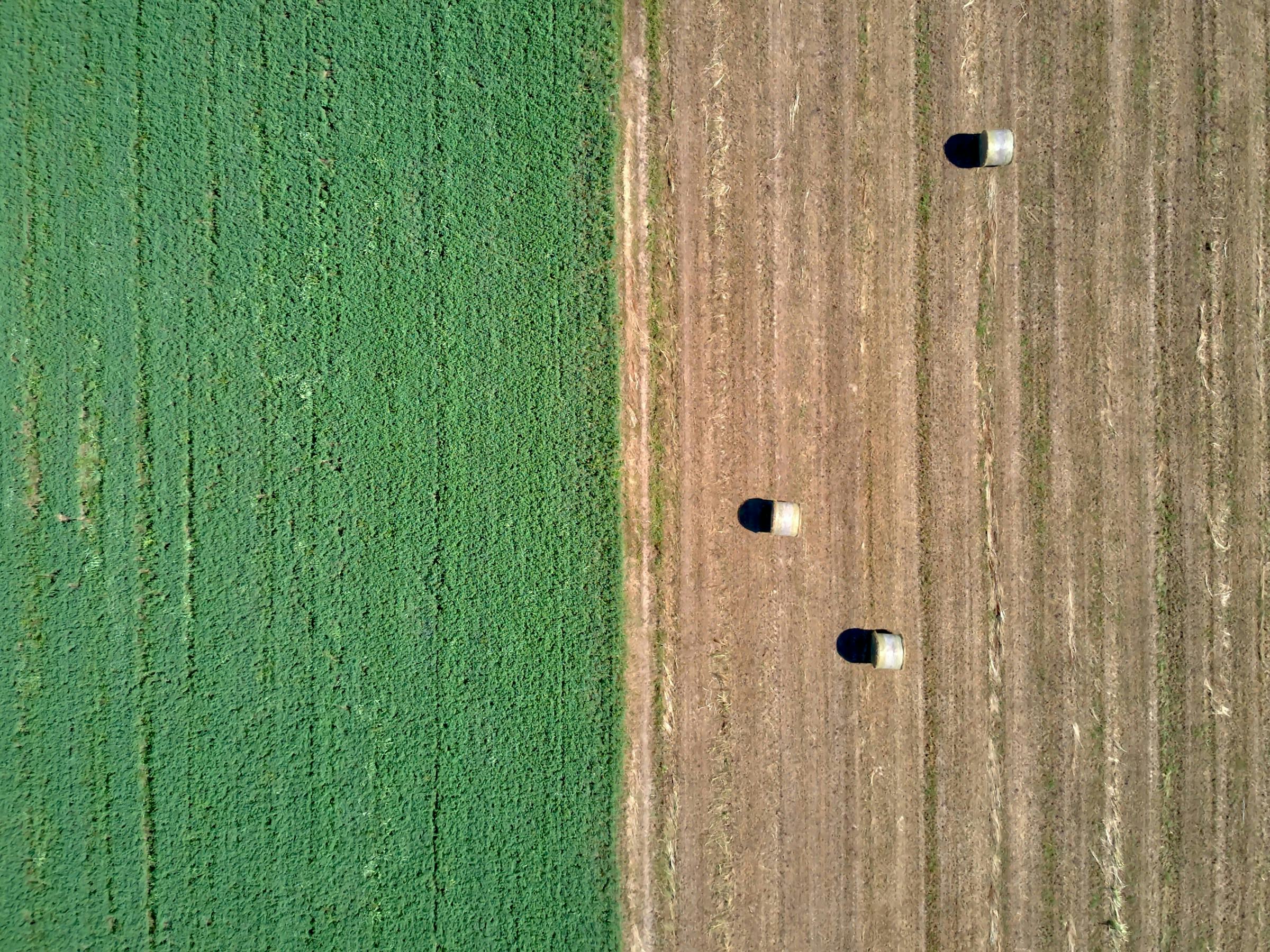 De verwachting wordt geschept dat stukjes grond bestemd zijn voor woningbouw, waardoor de waarde hard zou stijgen. Foto: Unsplash