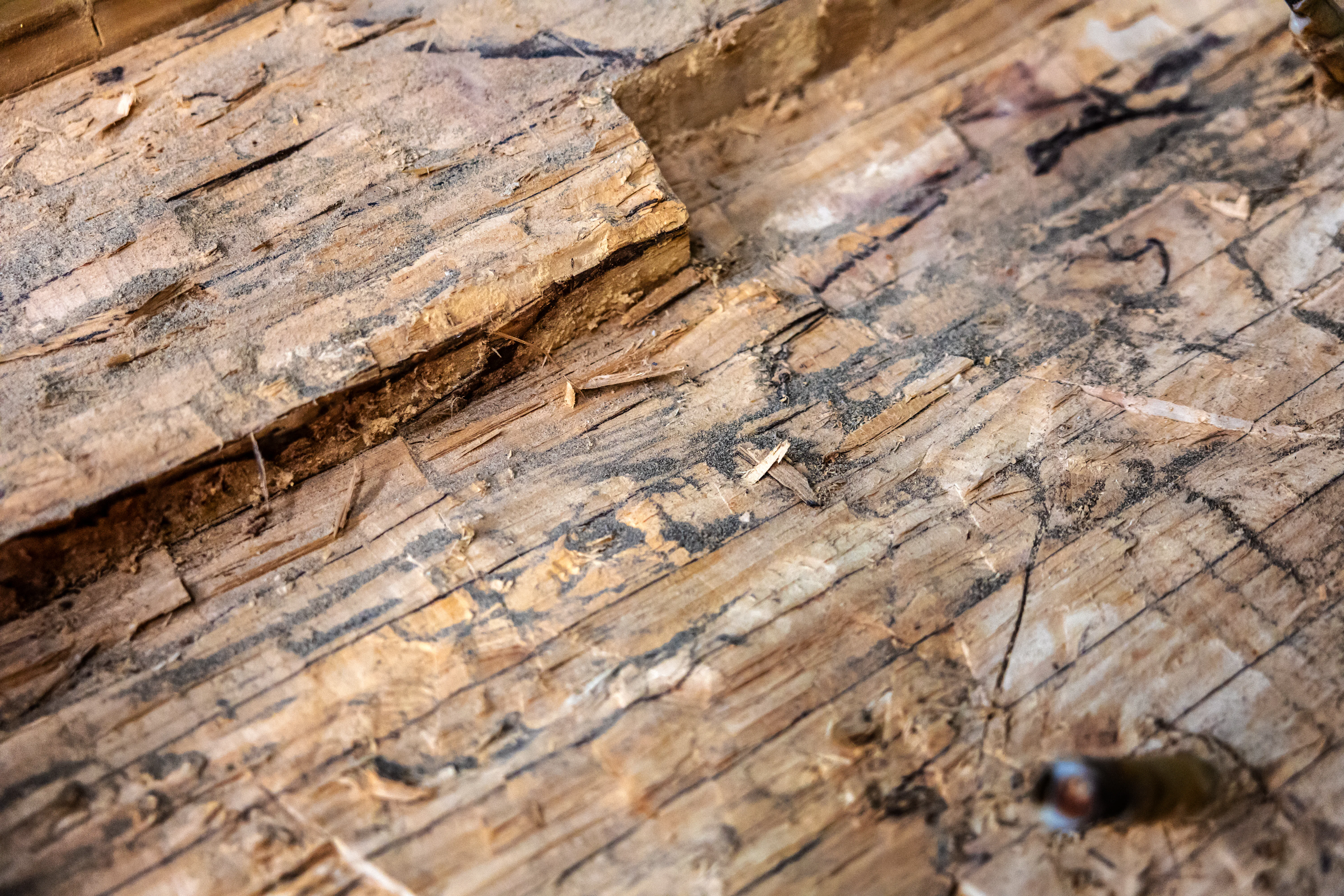 Beschadigingen aan het hout van de Krusrakbrug. Foto: Niels de Vries