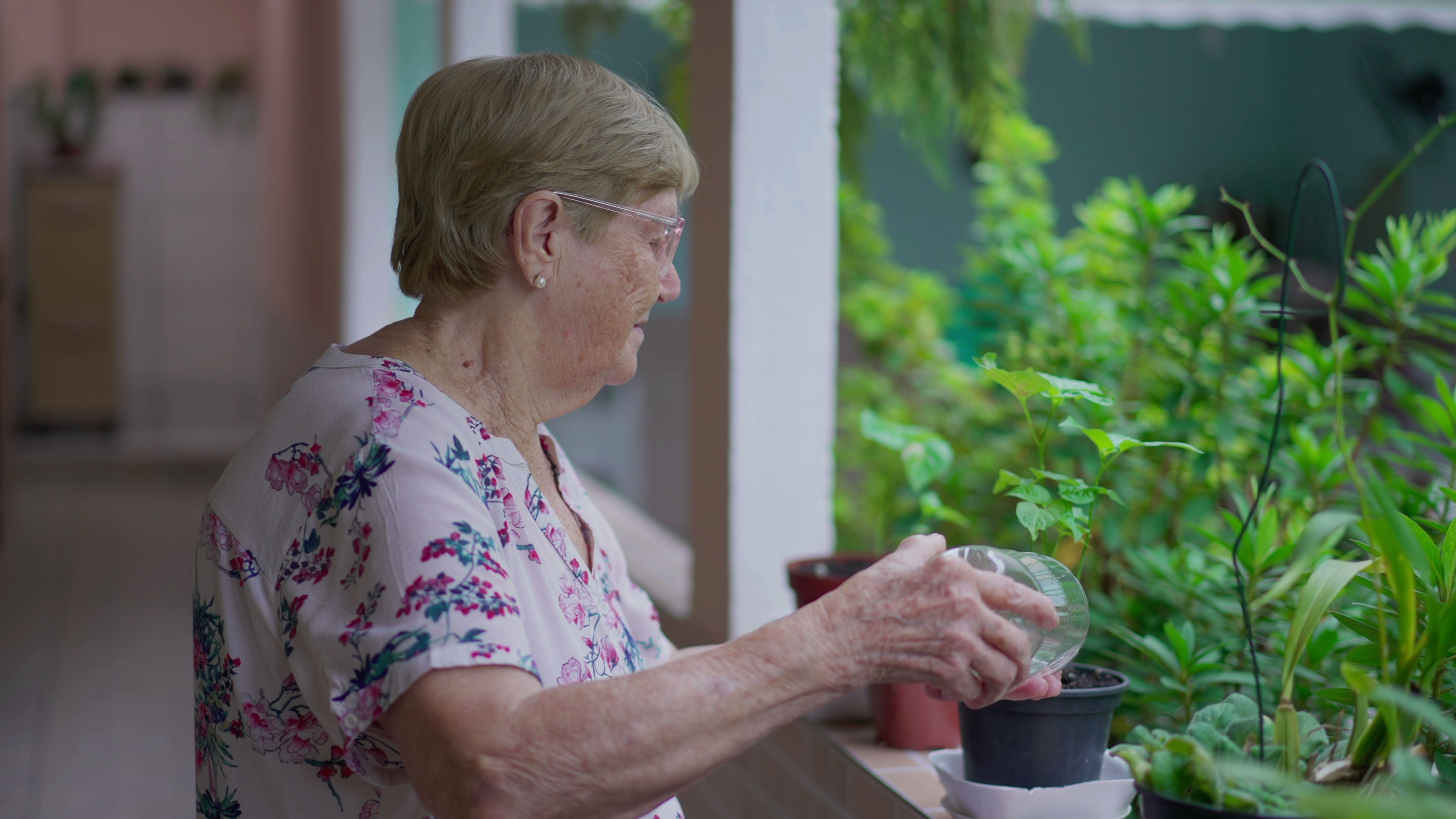 Foto: Shutterstock / Bricolage