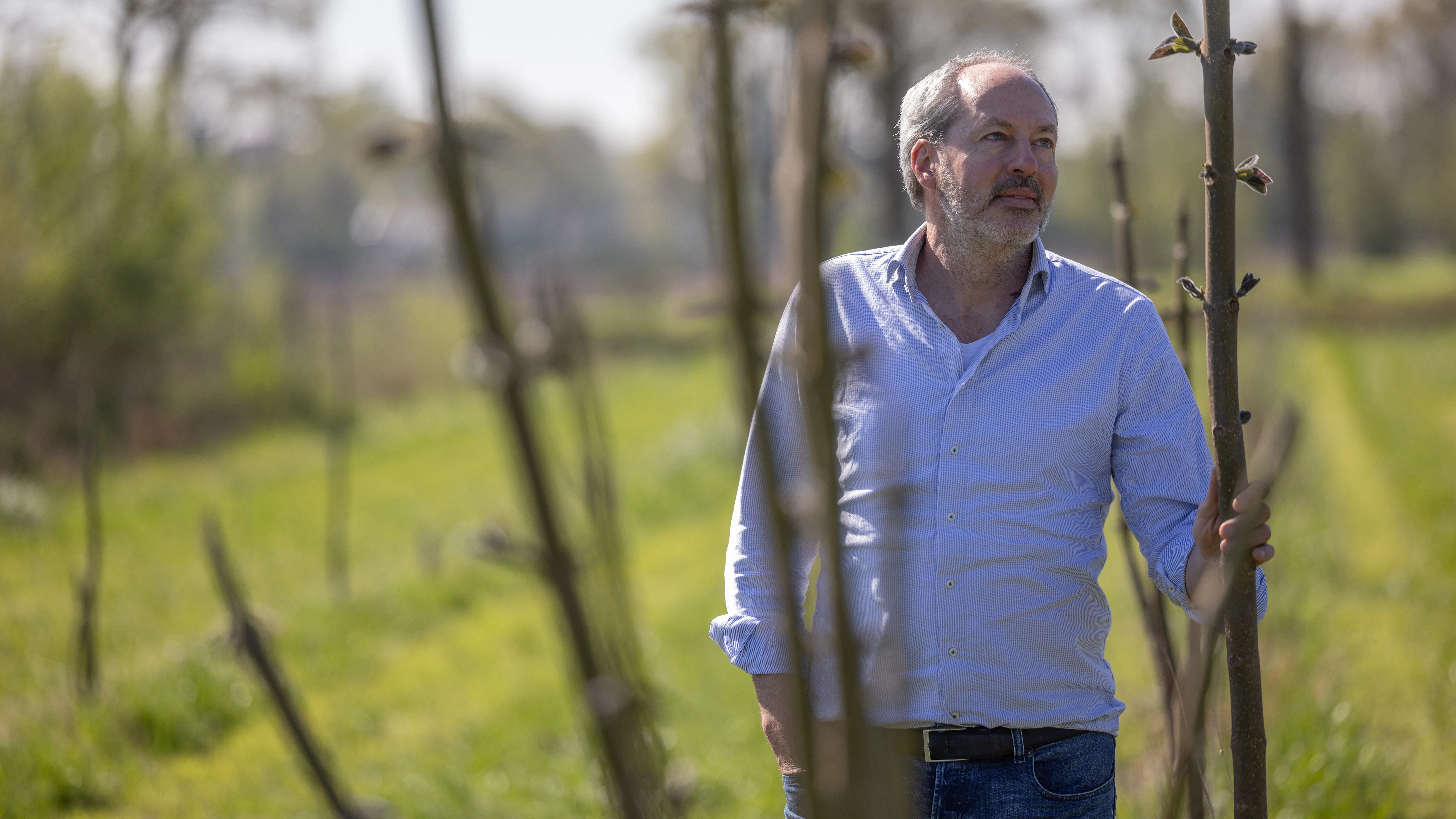 Jasper van den Munckhof bij de Paulownia, een snelgroeiende boom, goed geschikt voor gebruik in de bouw. Foto: Sjef Prins - APA Foto