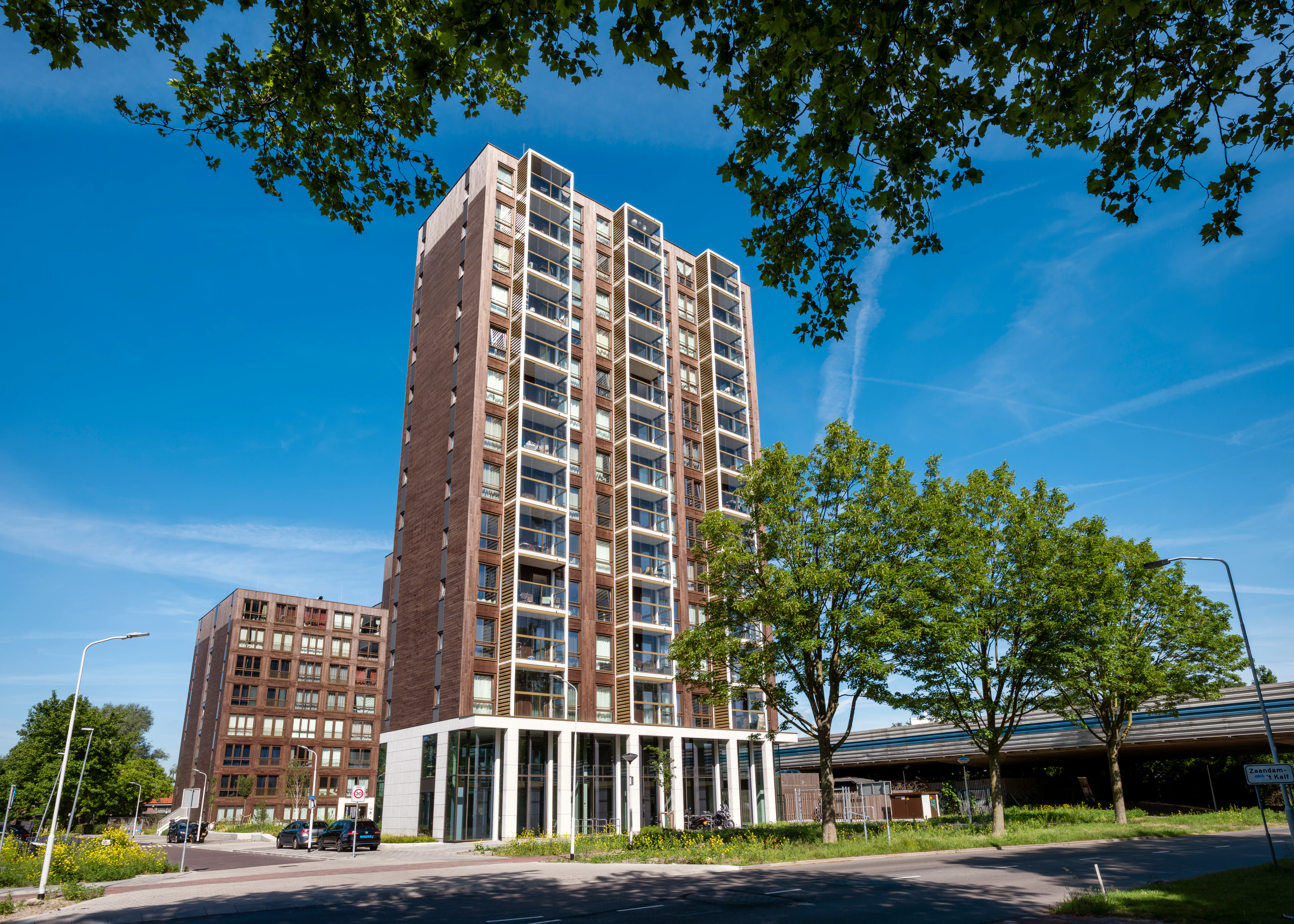Timbr in Zaandam. Foto: Guido Benschop