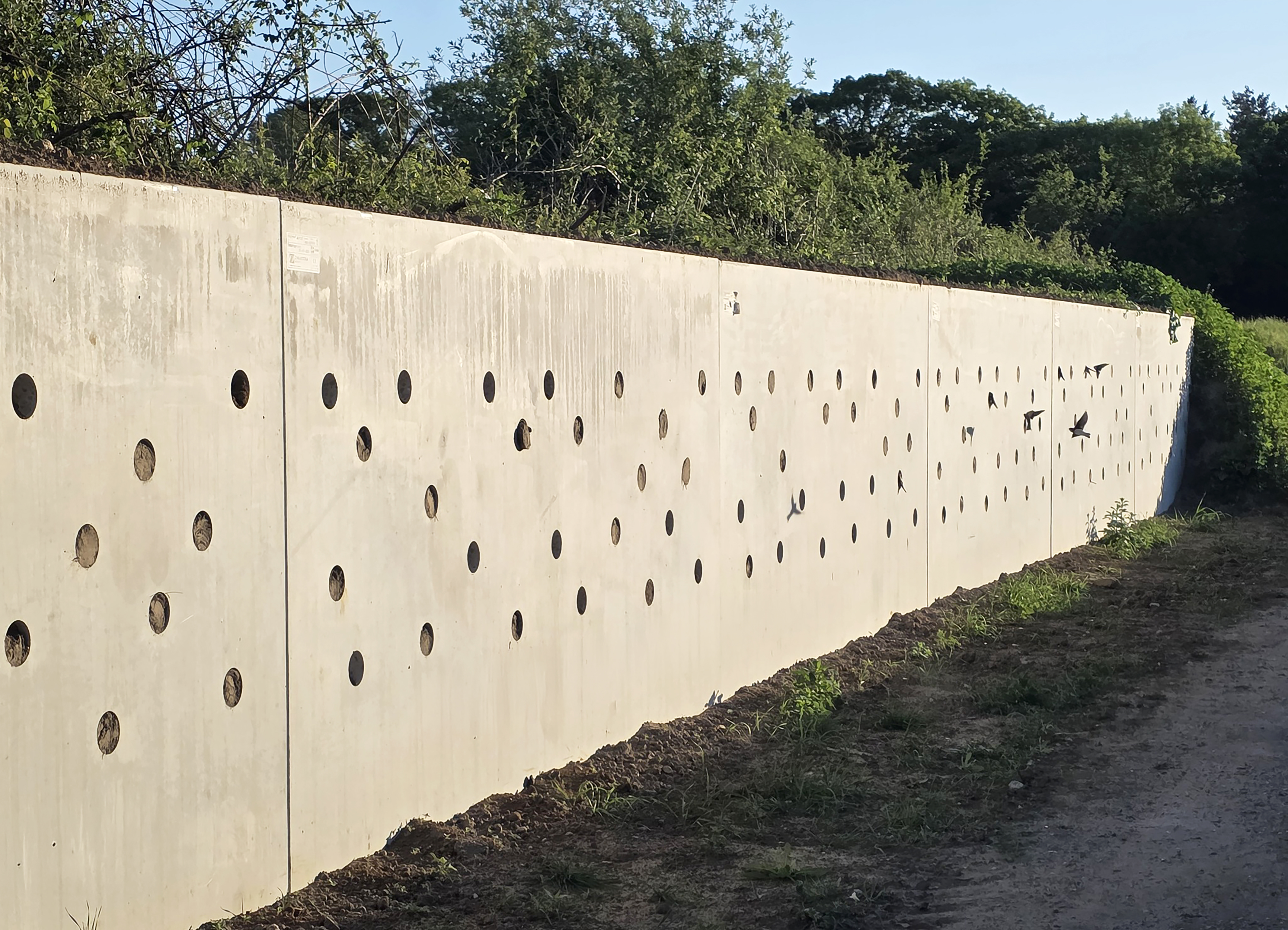 7 stappen naar toekomstgericht bouwen met beton