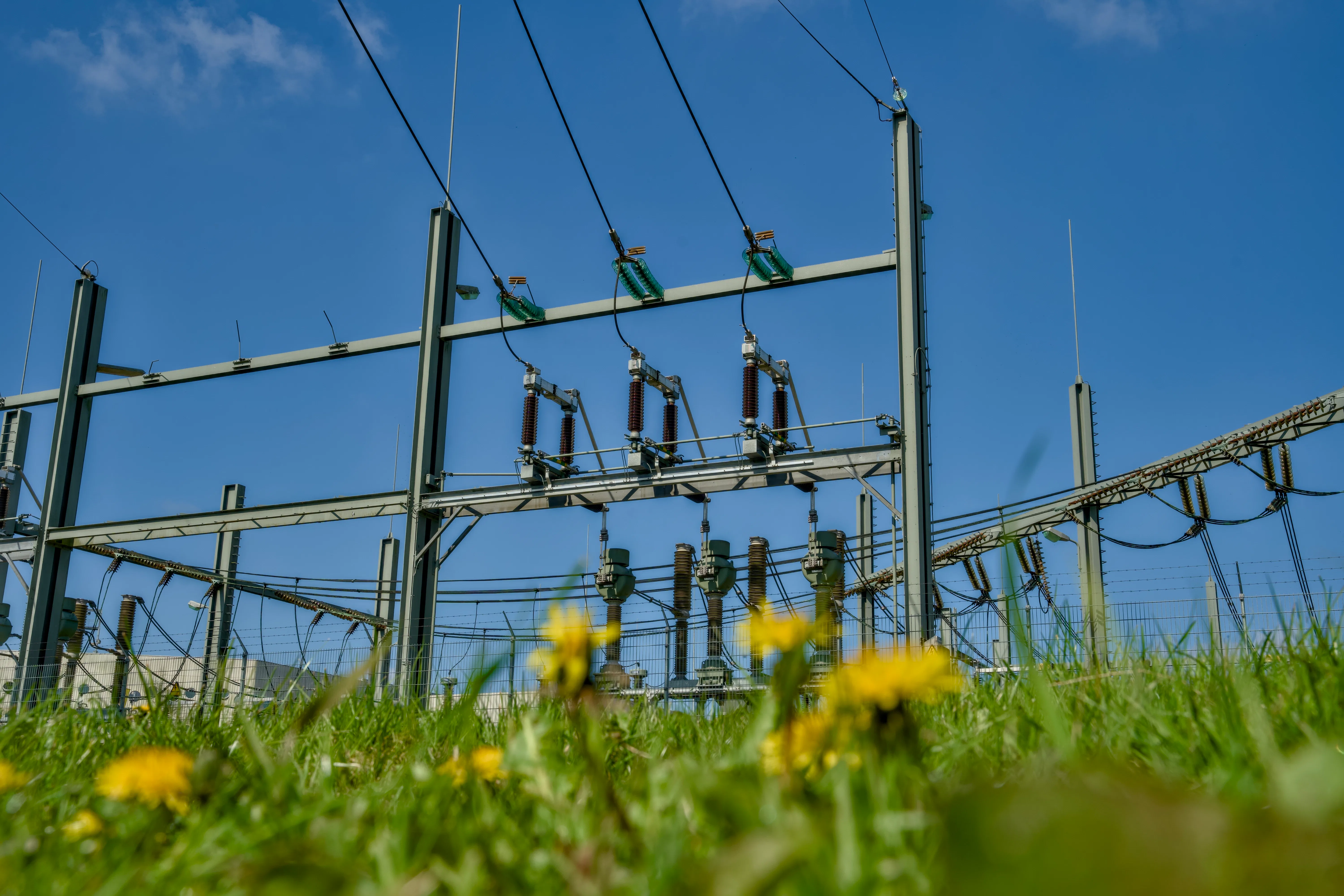 Foto: Rene Notenbomer / Shutterstock