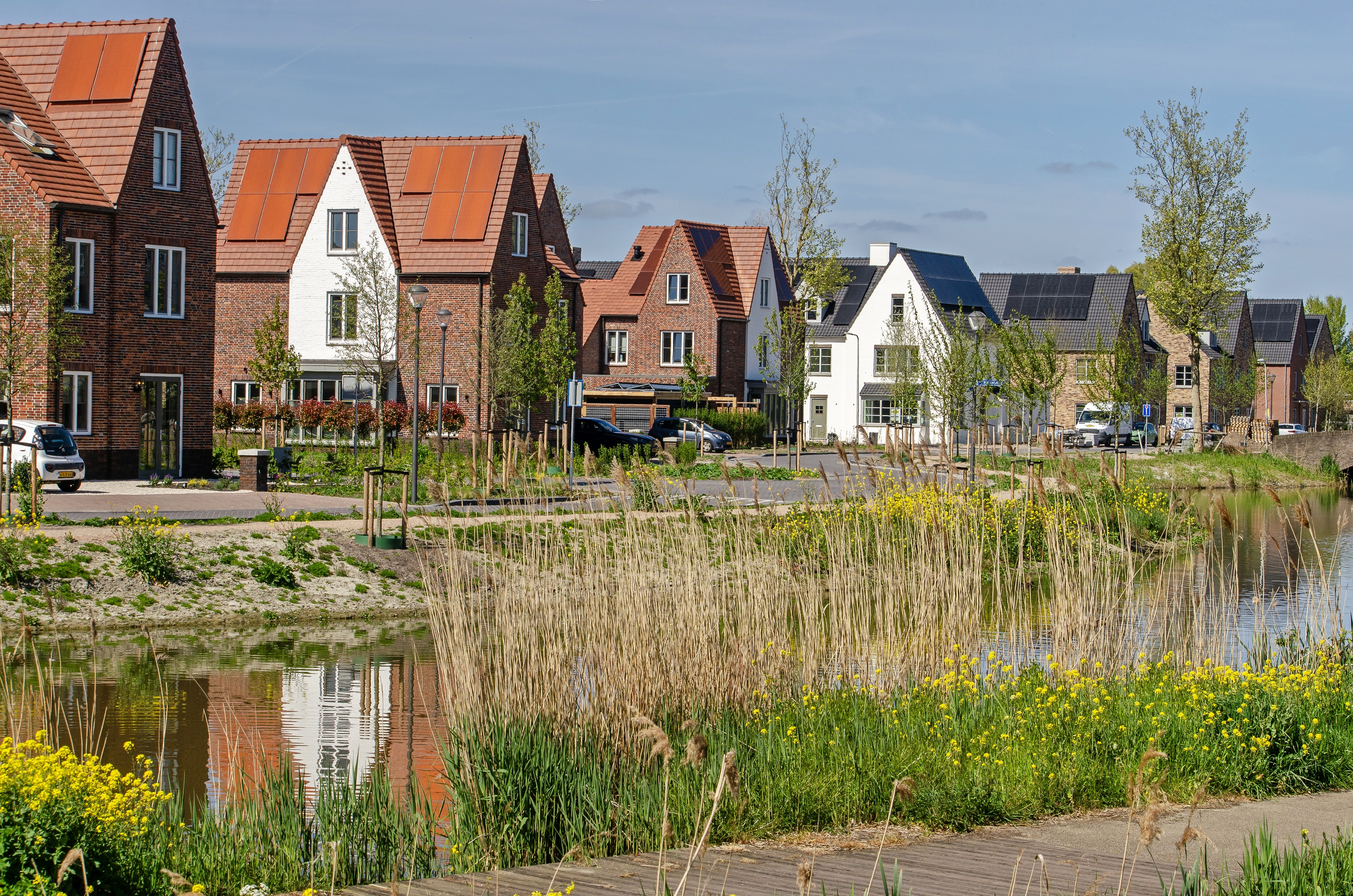 Foto: Shutterstock 