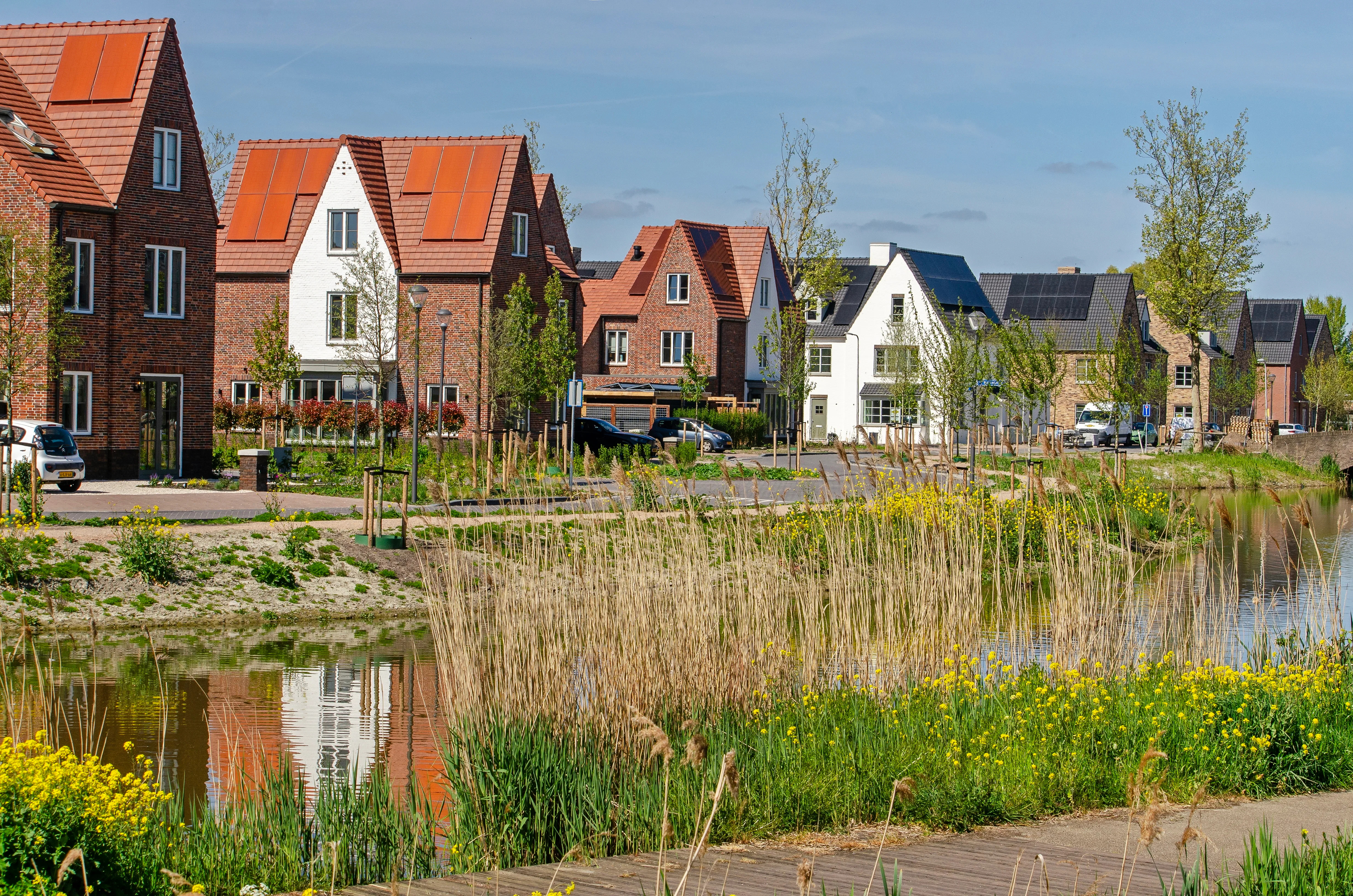 Foto: Shutterstock 
