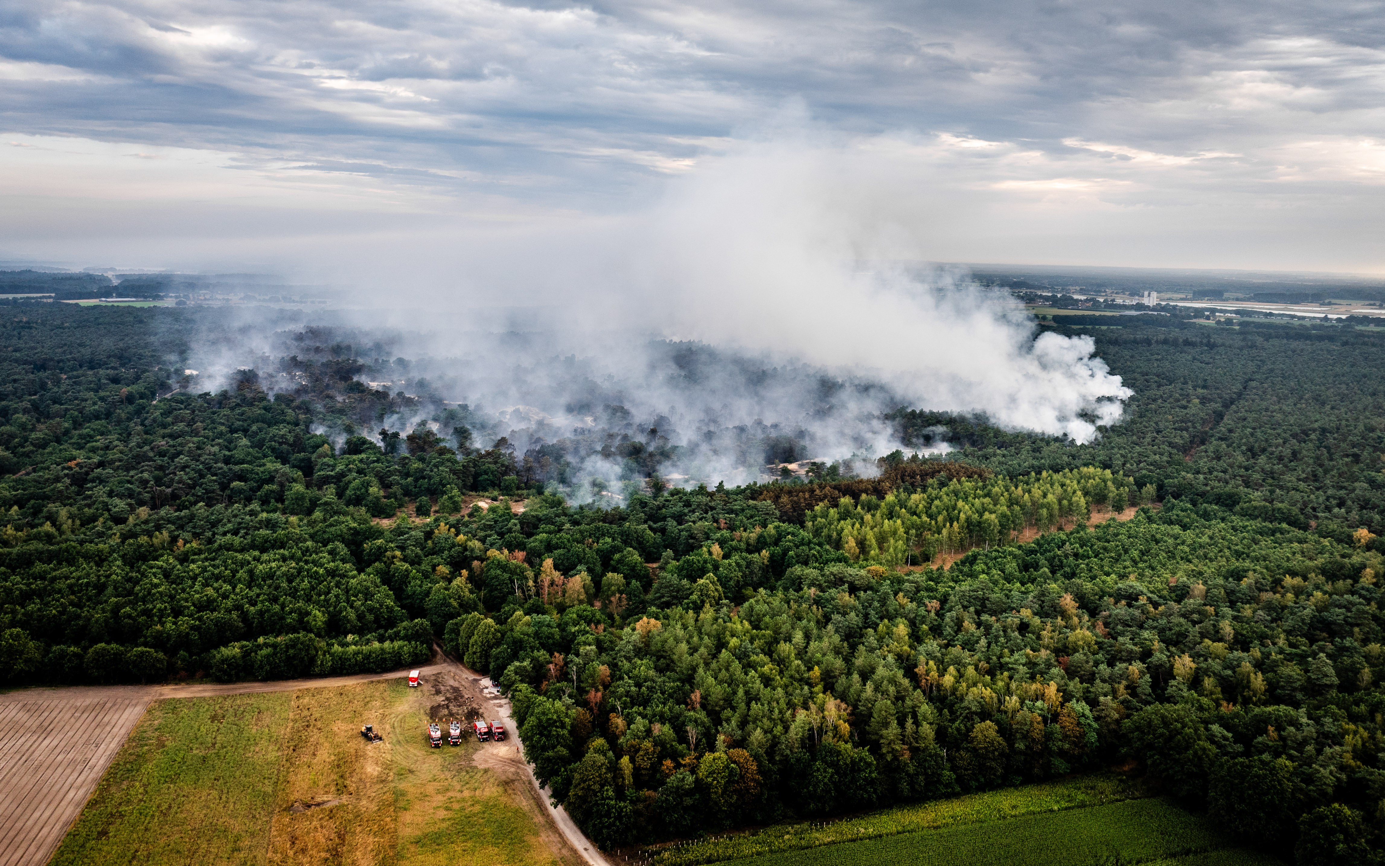 Een grote natuurbrand in Noord Limburg eerder dit jaar, waarbij ongeveer 100 hectare bos verloren ging. Foto: Jeffery Goeneweg / ANP