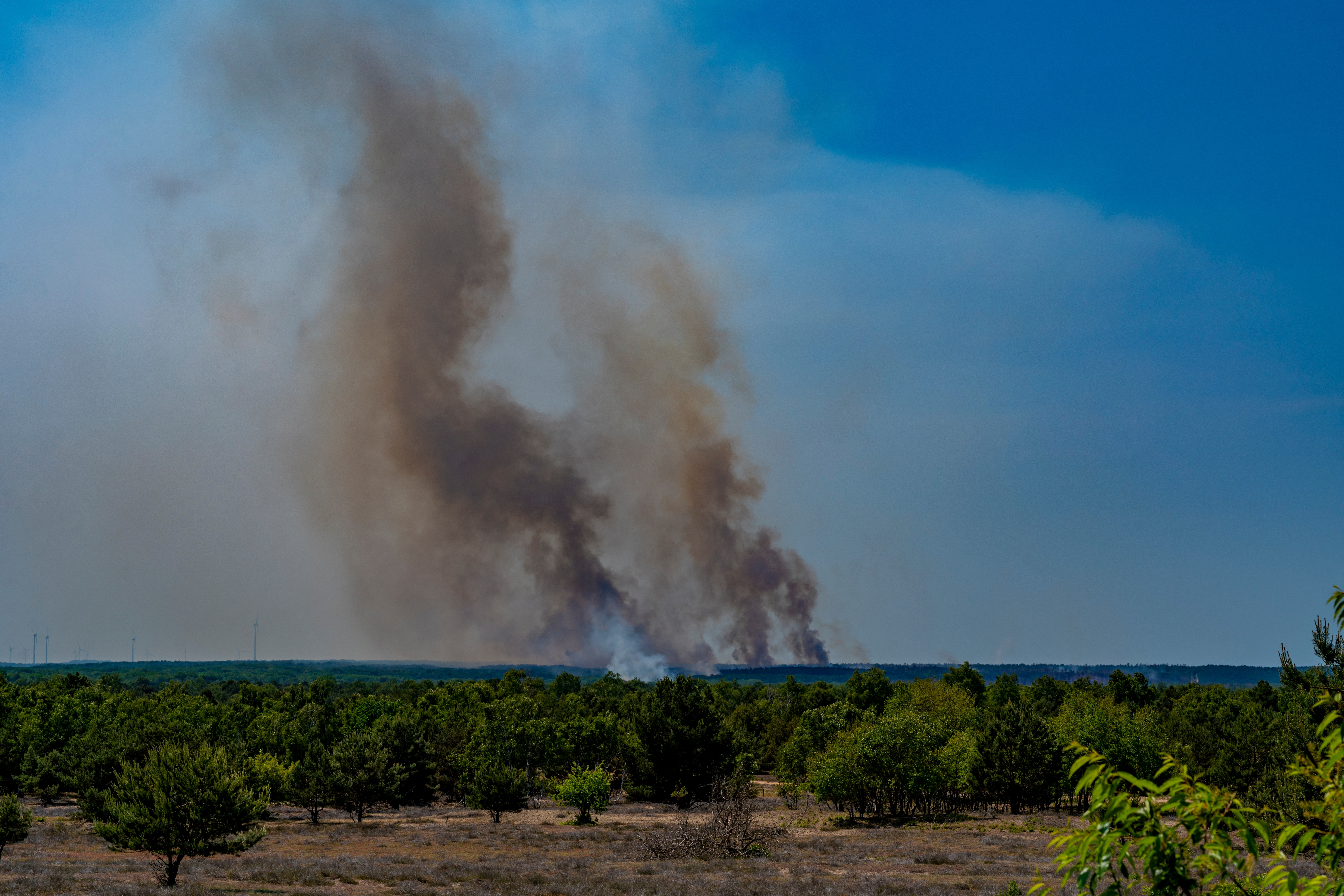 Natuurbrand in Duitsland, net over de Nederlandse grens. In totaal brandde er in Europa deze zomer een gebied ter grootte van de provincie Zuid-Holland af. Foto: Shutterstock