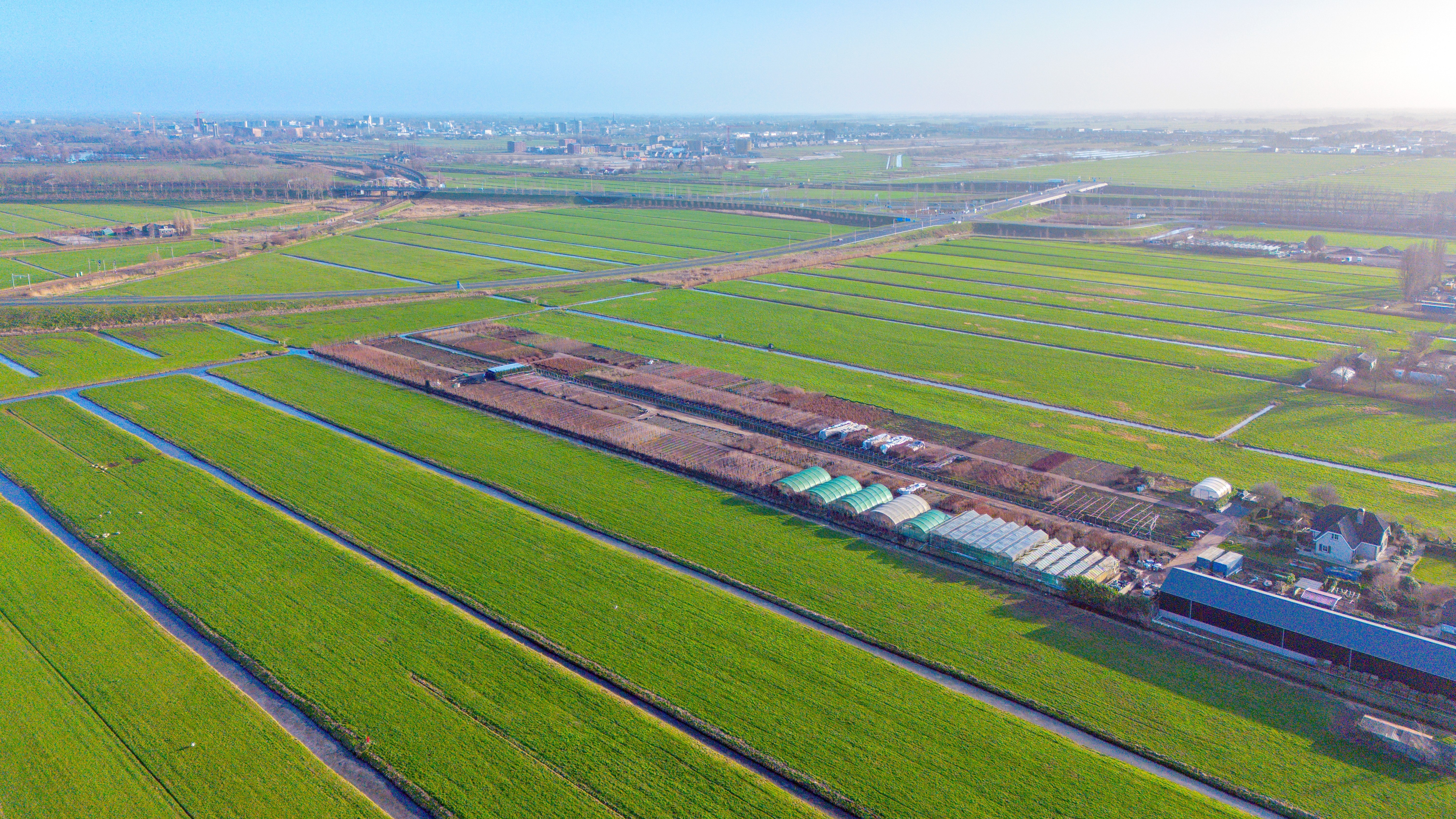 De Zuidplaspolder, de plek waar straks het dorp Cortelande moet komen. Foto: Shutterstock