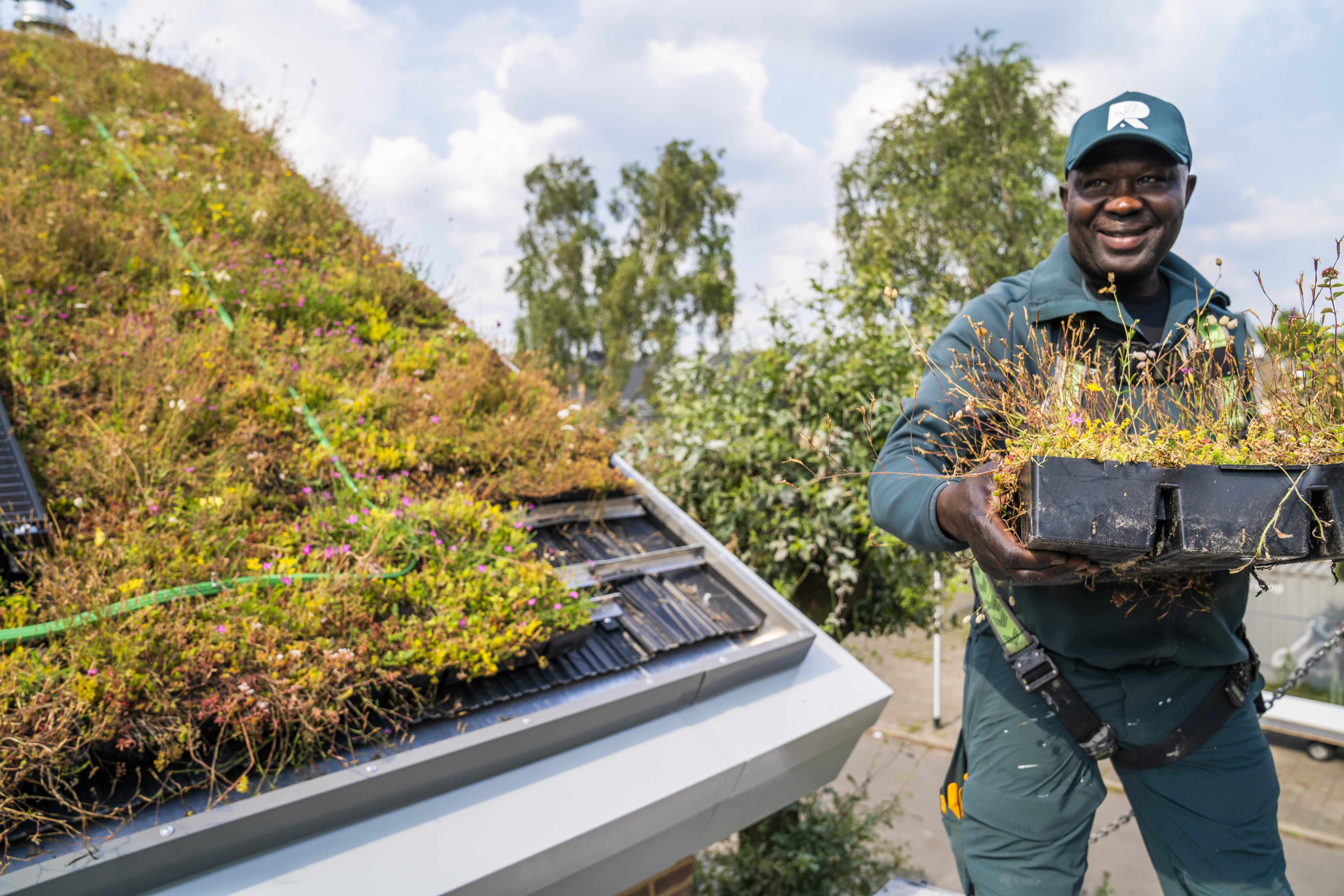 Het dak op het DreamHûs op The Green Village heeft zonnepanelen, maar er past ook een buitenunit van een warmtepomp in.